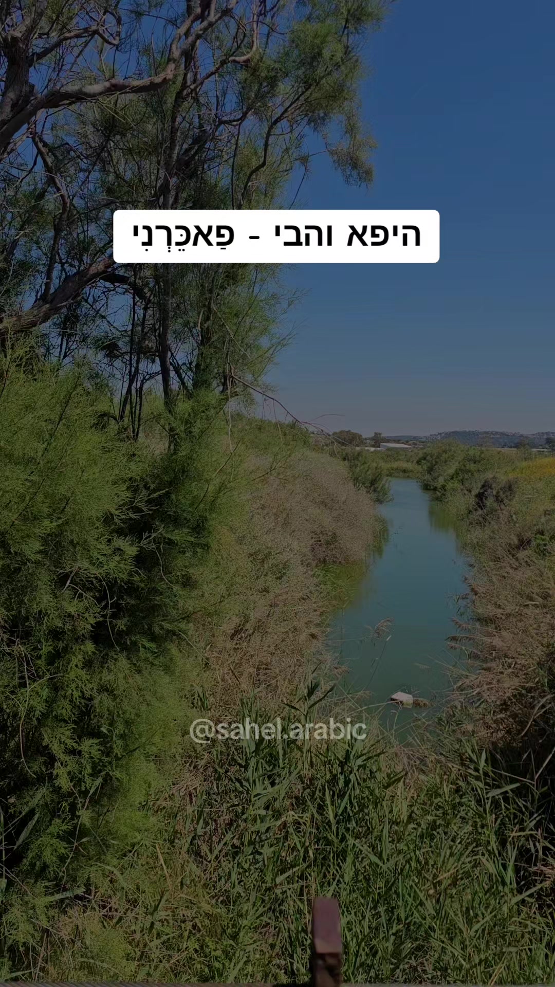 @סהל - לימוד ערבית בקלות