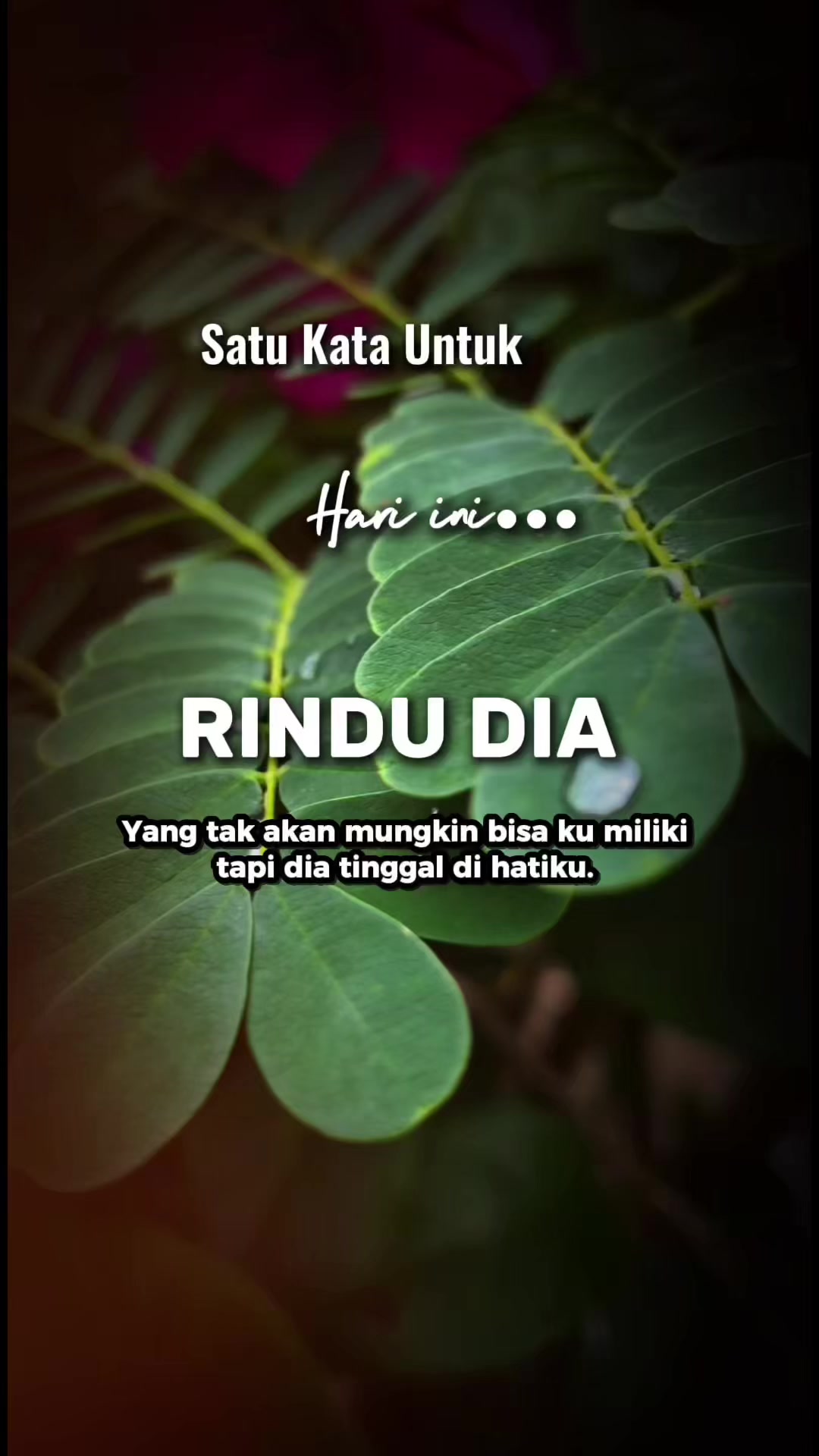 @sukasuka