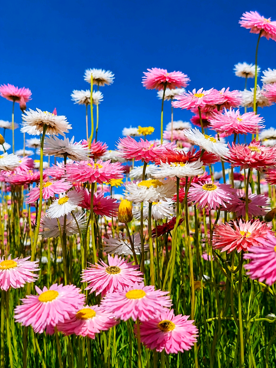 @Nature Love Australia ๐ด