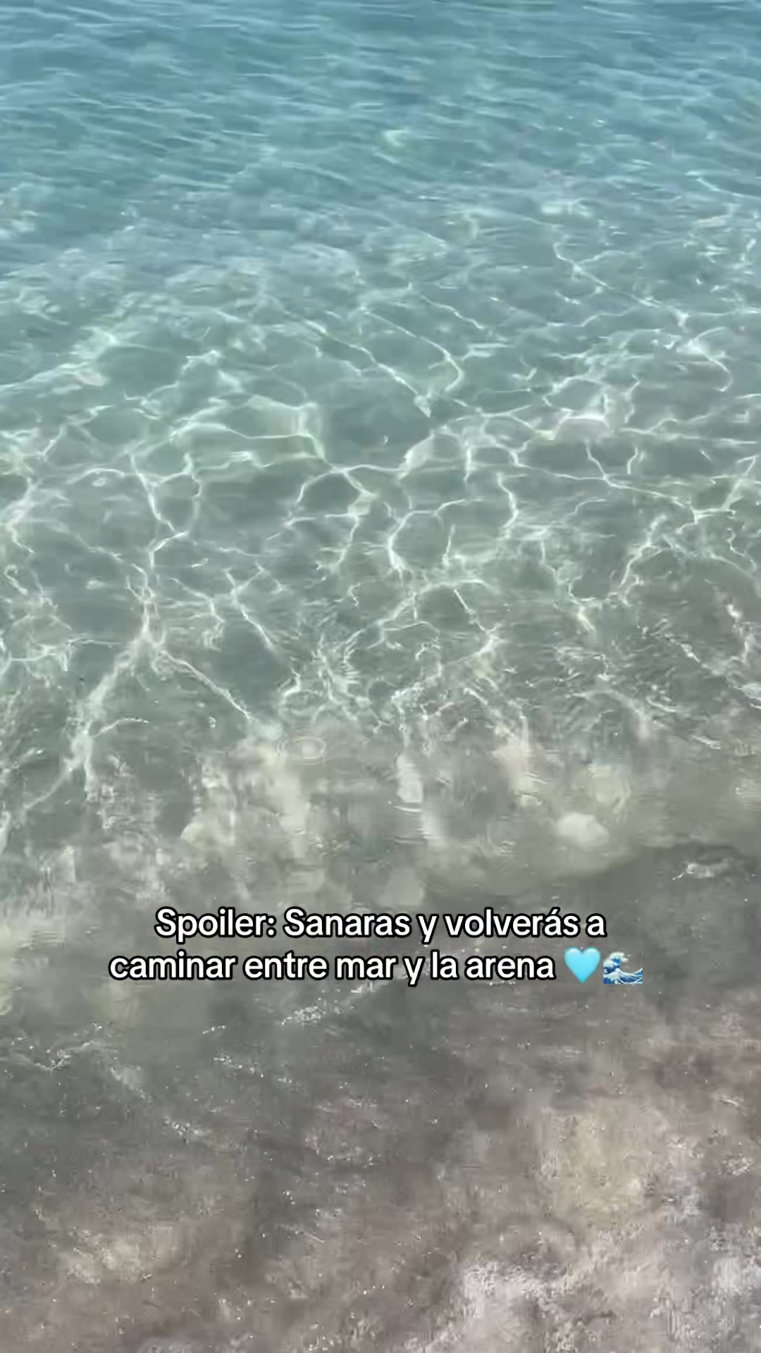 @paloma.es.mx