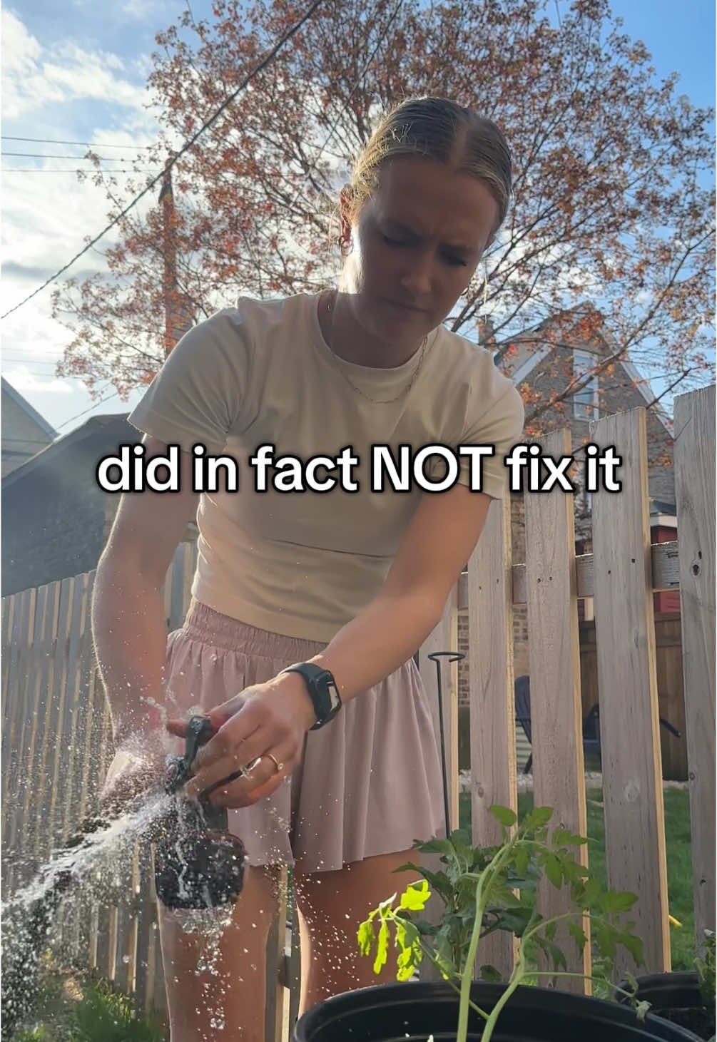 @Jacy Andrews Hollander