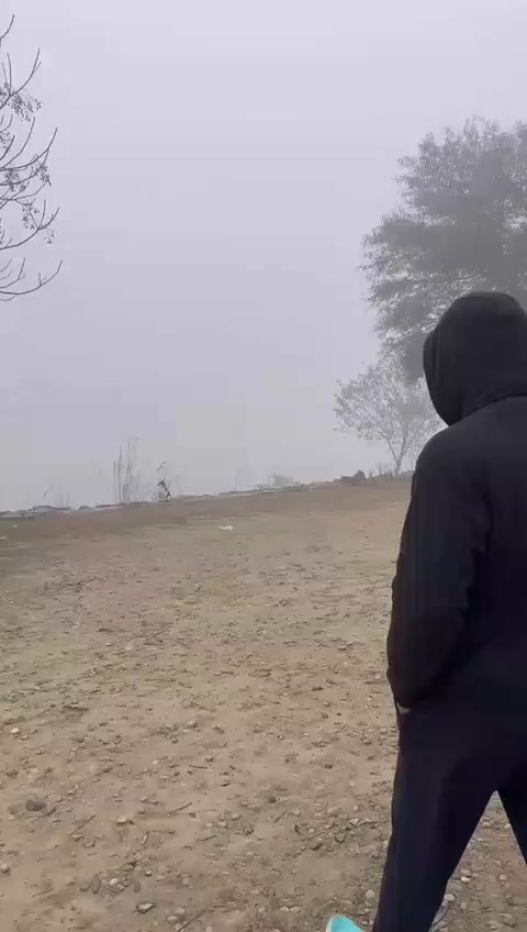 @Zaman Mani Sandhu