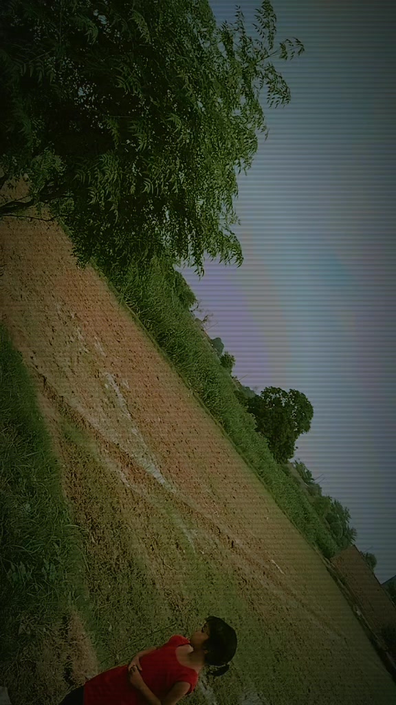 @804🇧🇫