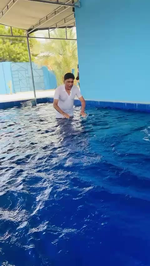 @Mir Sb