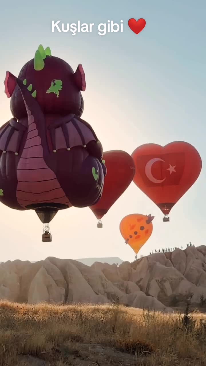 @👑HAKAN👑