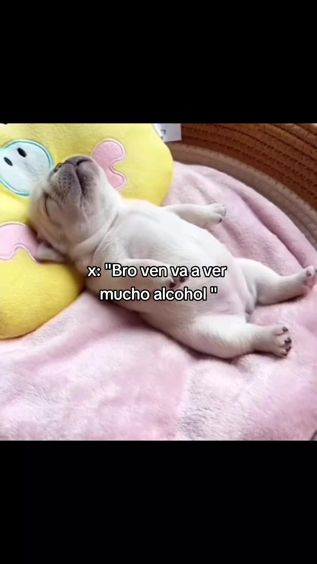 @Bestoari