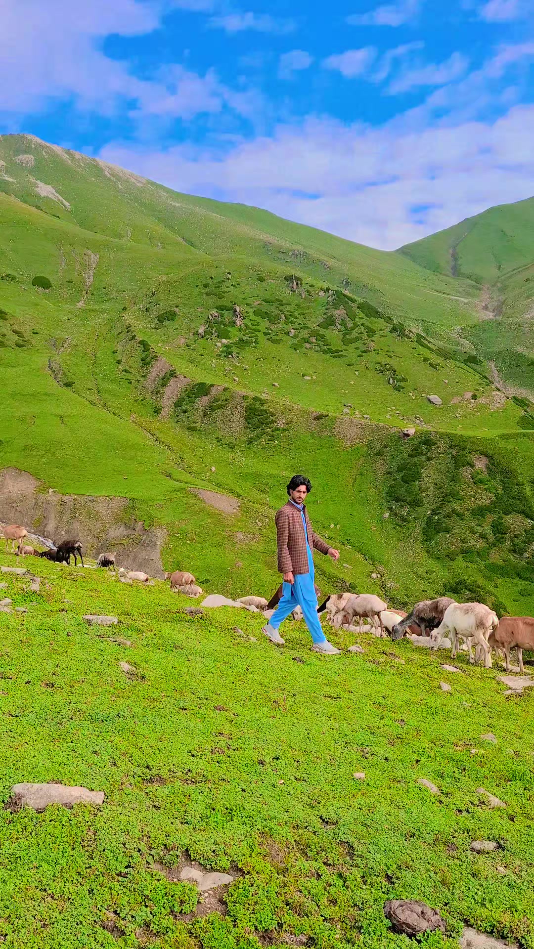 @✨𝐢𝔹𝔯ⒶⓇs𝔲𝔩ţ𝓪n⚡
