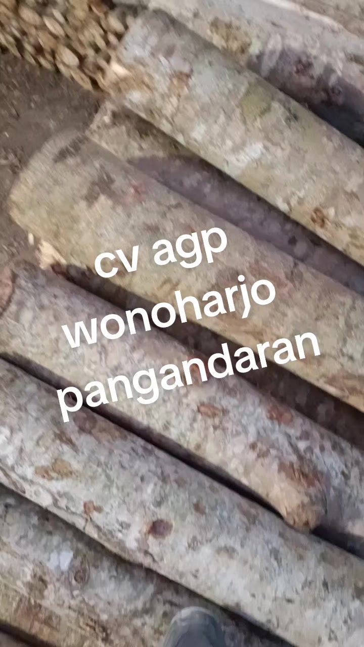 @Agus dakocan