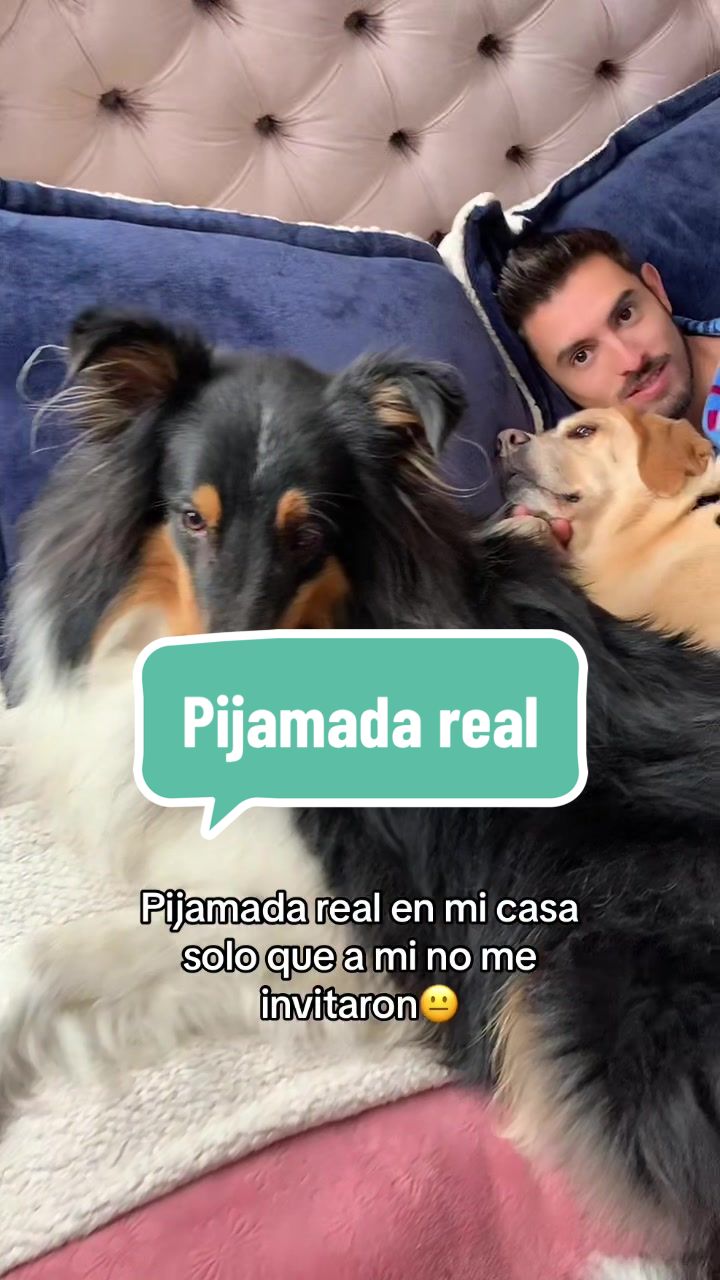 @Sandi