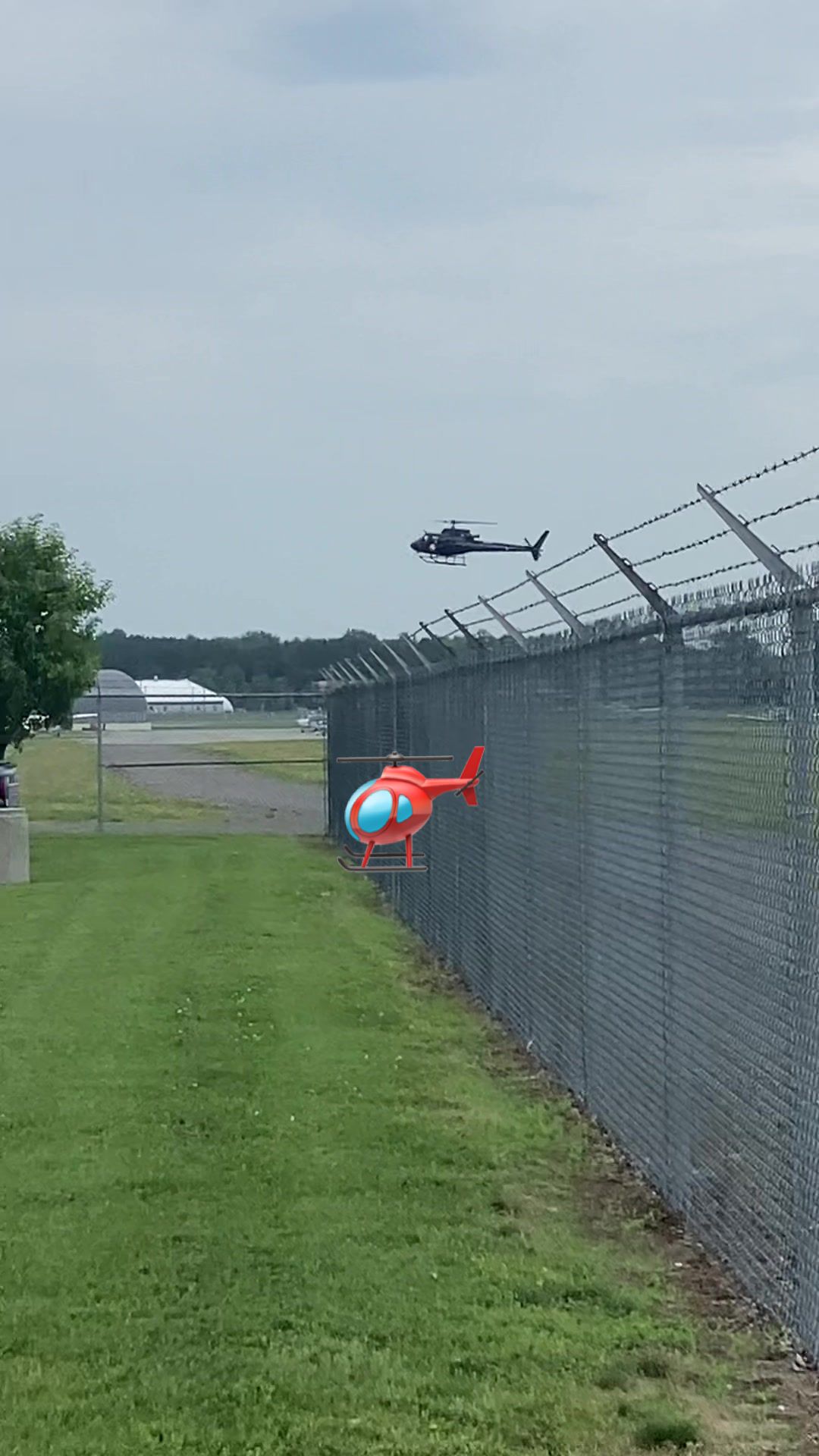 @Plane Spotting YYB
