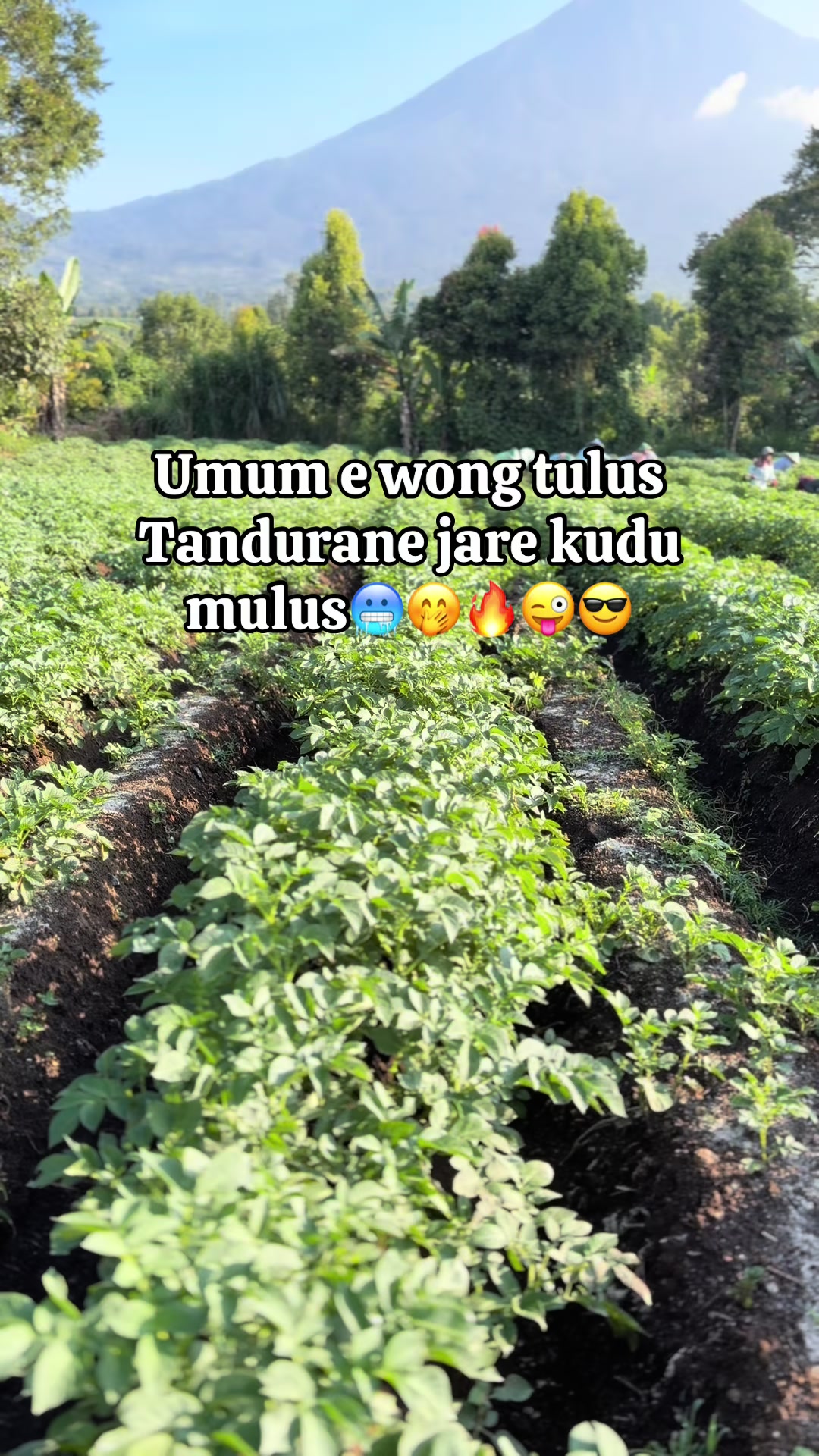 @nanda_setiawan_