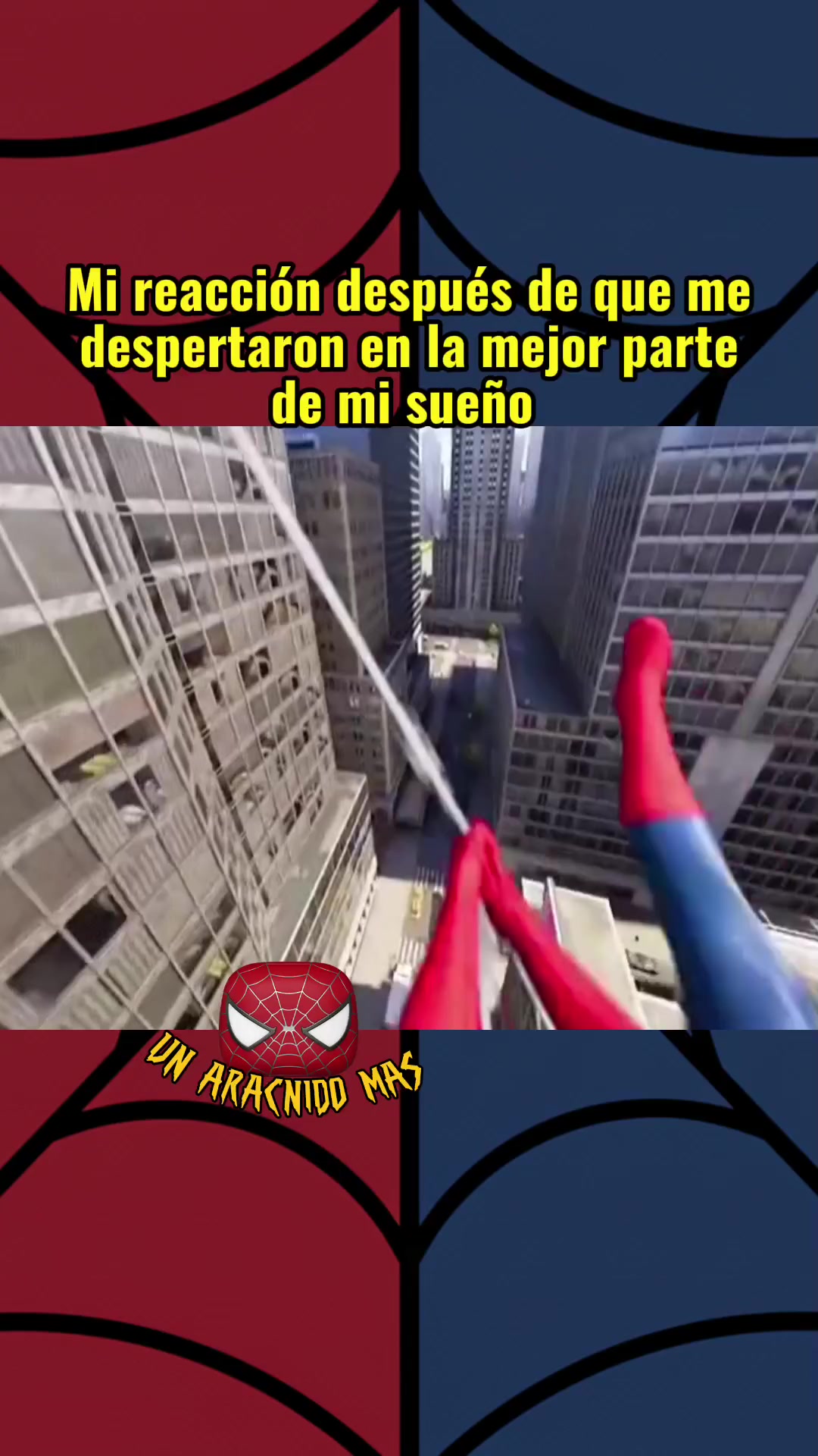 @Un Arácnido Más🕷️