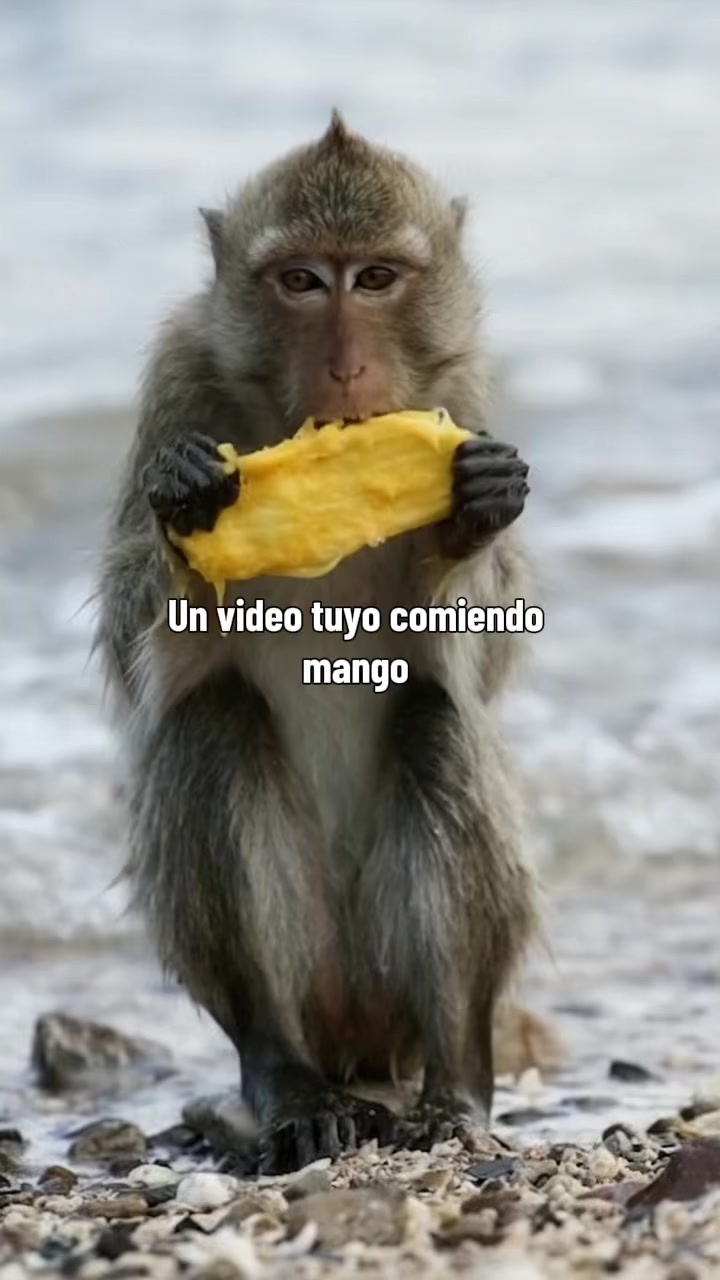 @RabPesito 🔥