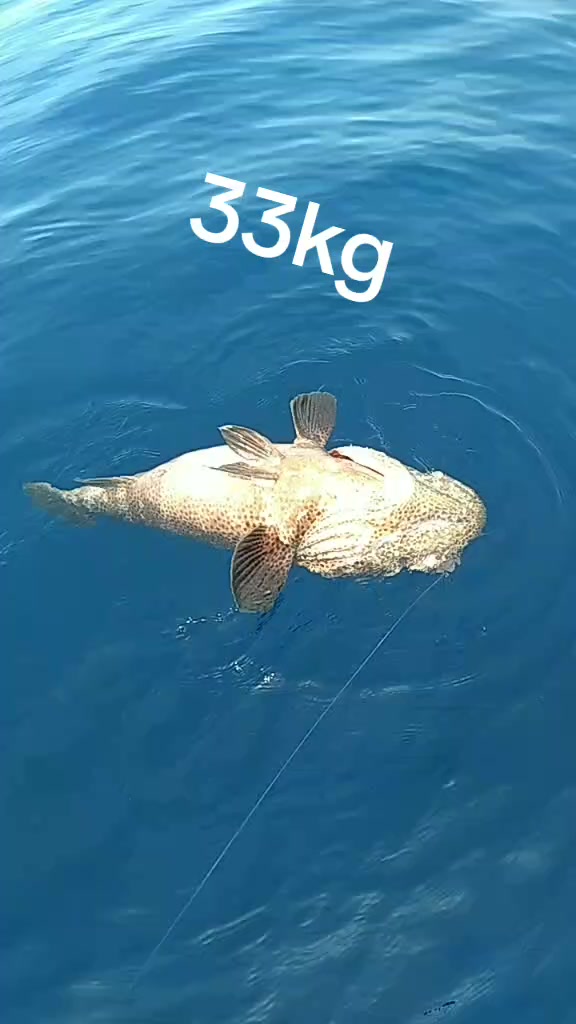 @santhan🐟🐟🦈🦈🐠🐠0766088908