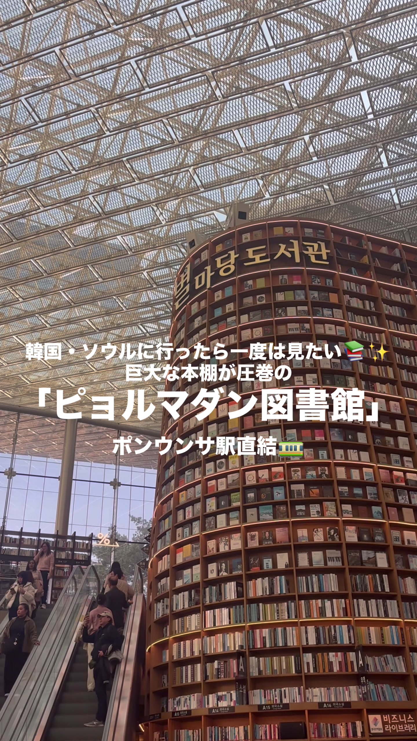 @Lily 旅行好きのOL