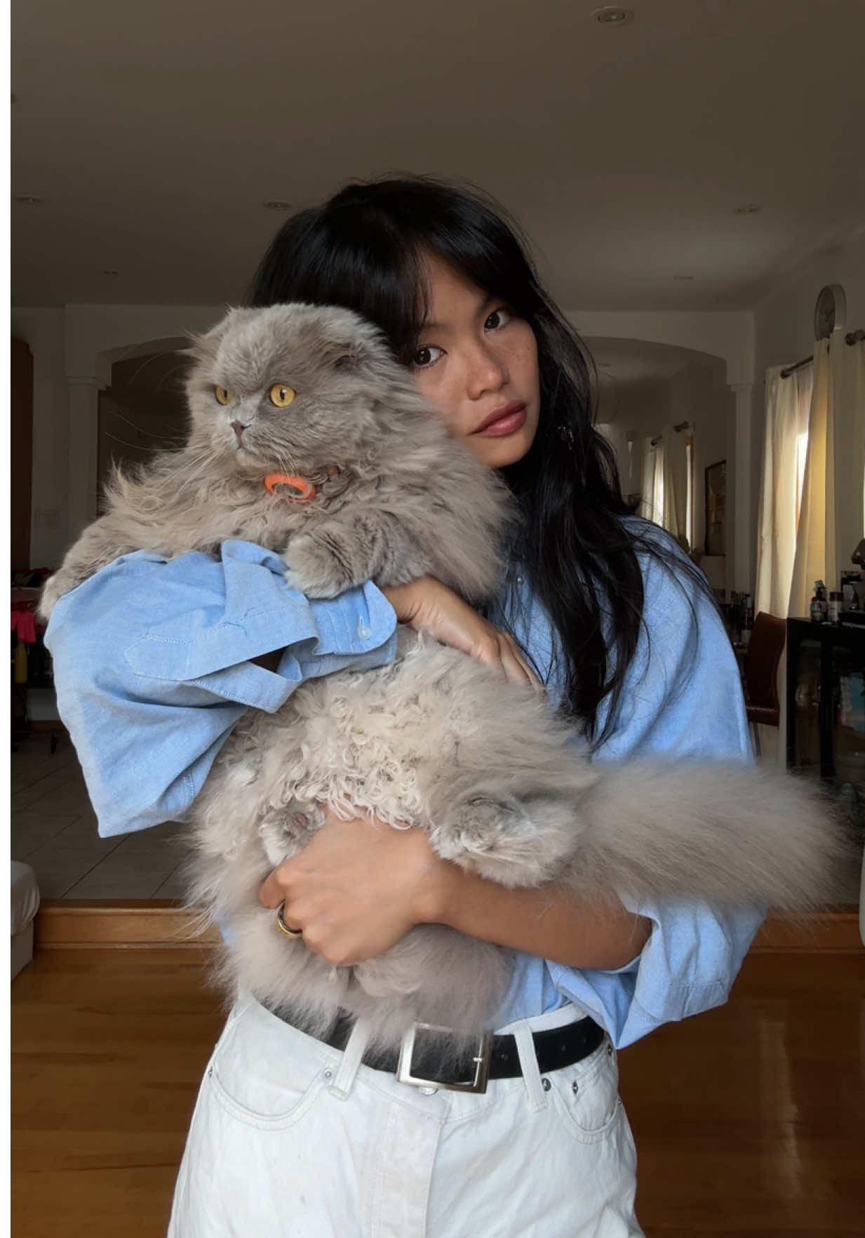 @tiffany lai