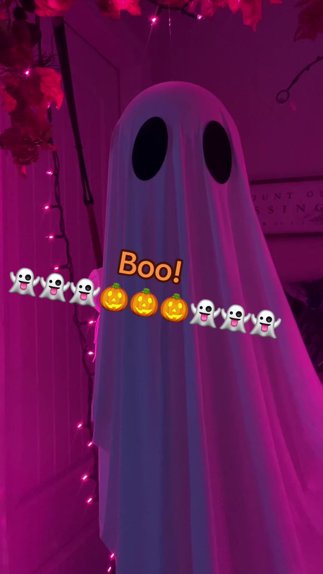 @petedfinds
