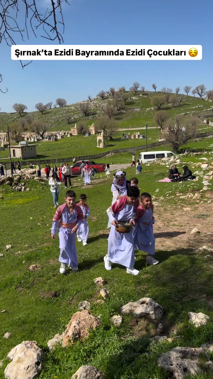 @akif.ozek