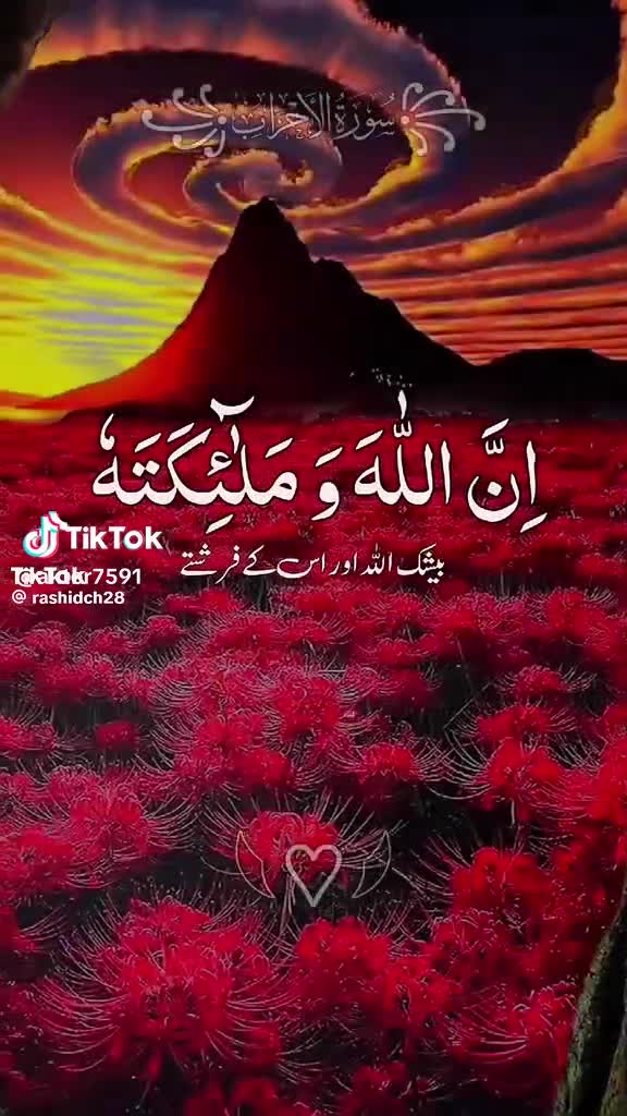 @حمو الدولي