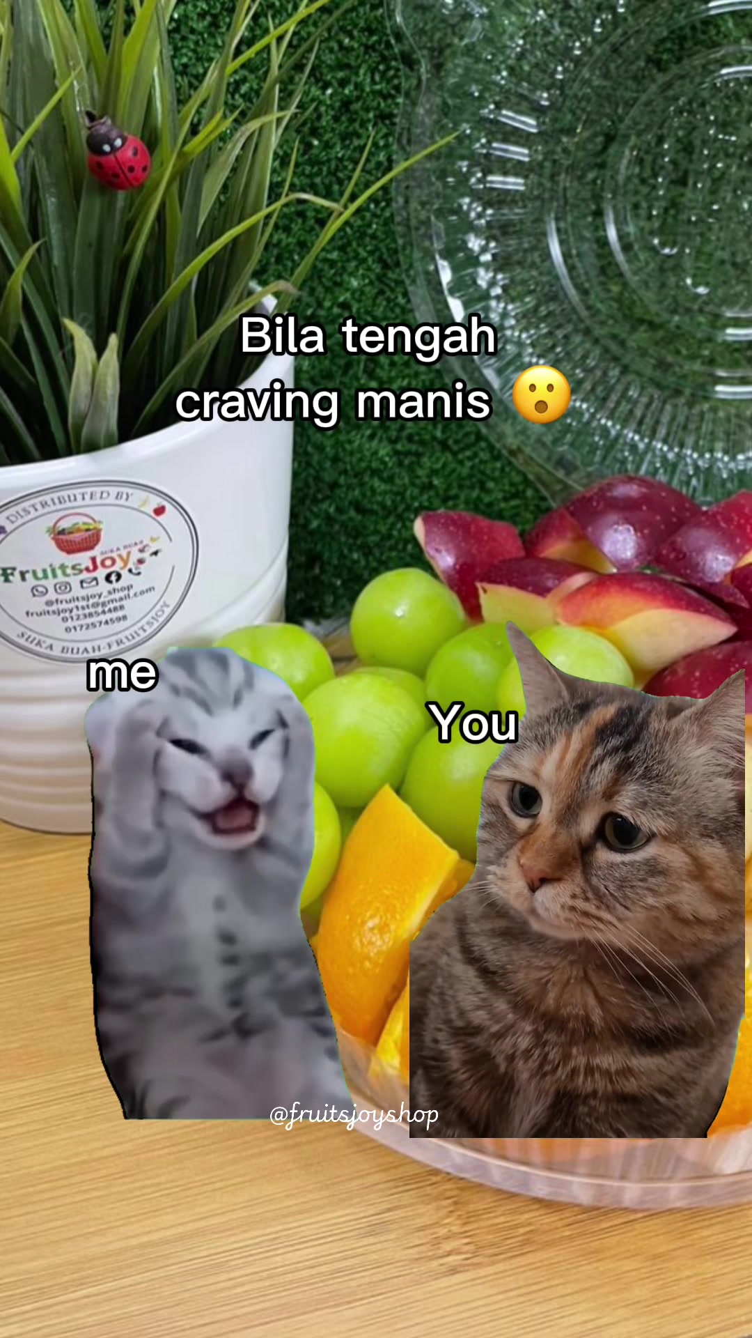 @FruitsJoy