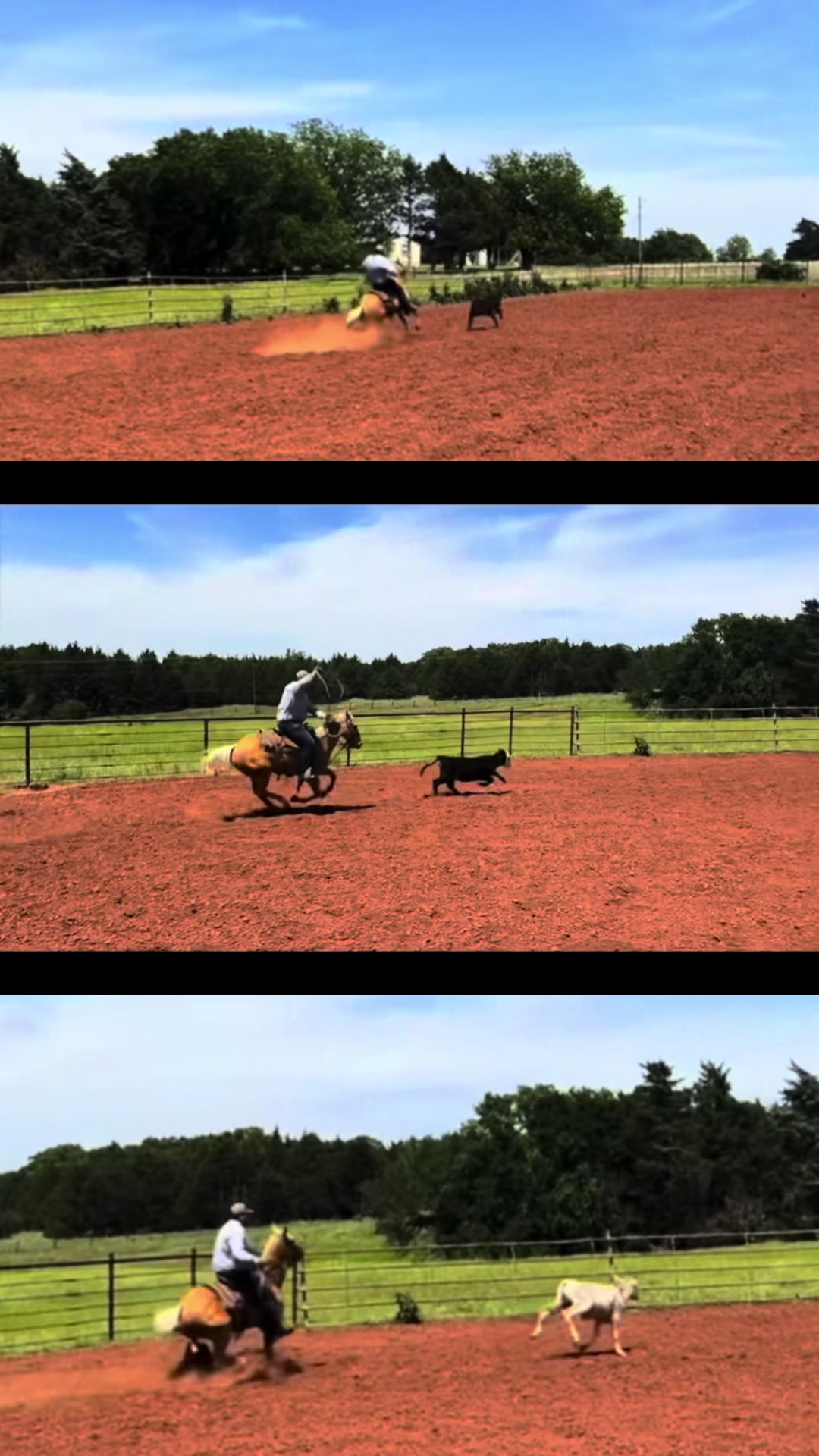 @HorseAuctionsUSA