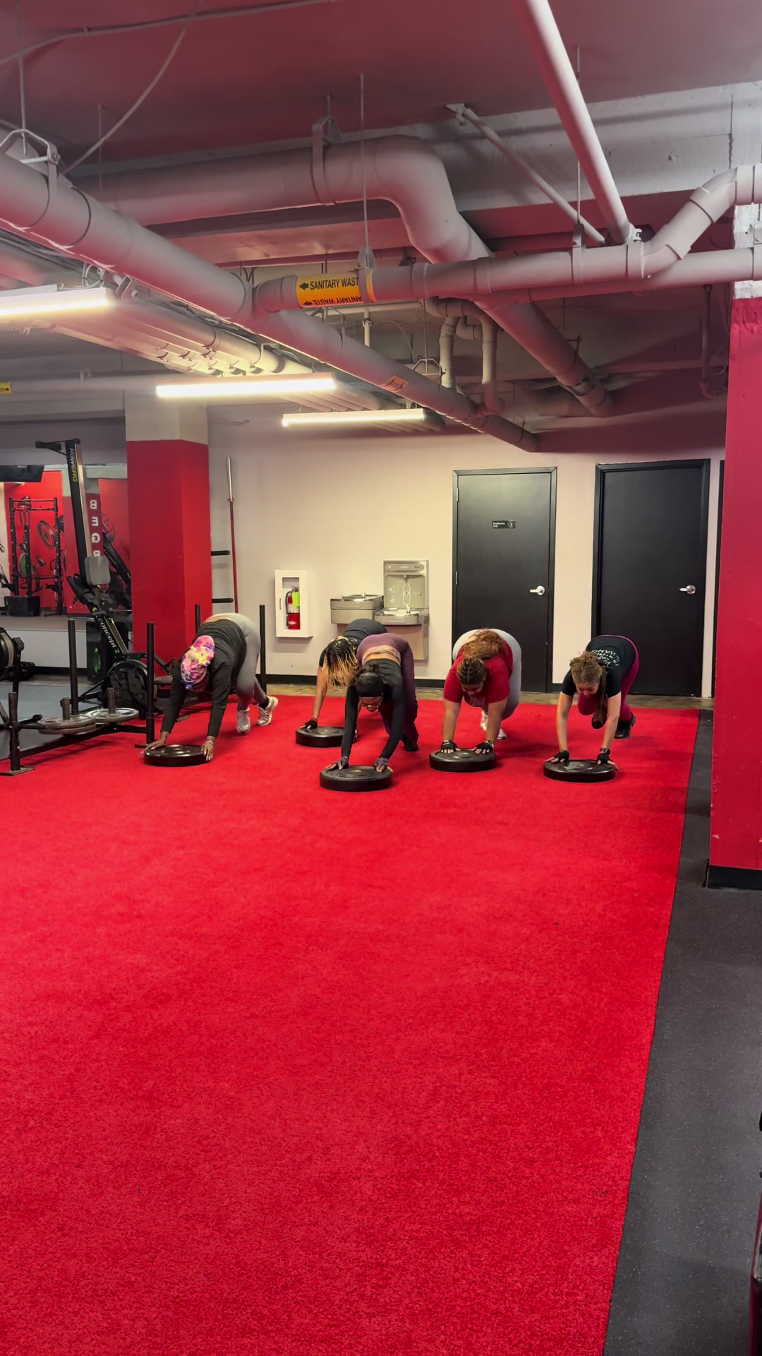 @thewaistedfitfactory