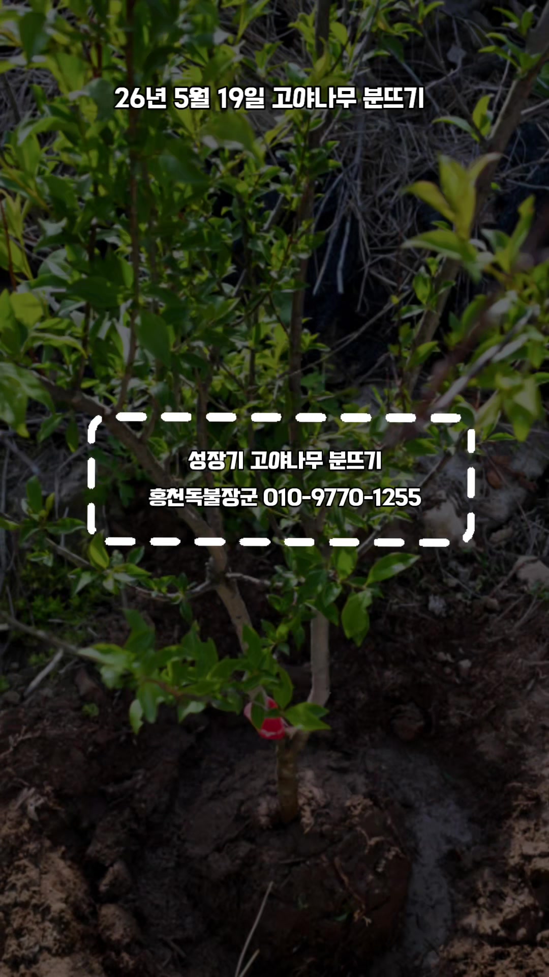 @🔥고물급남자