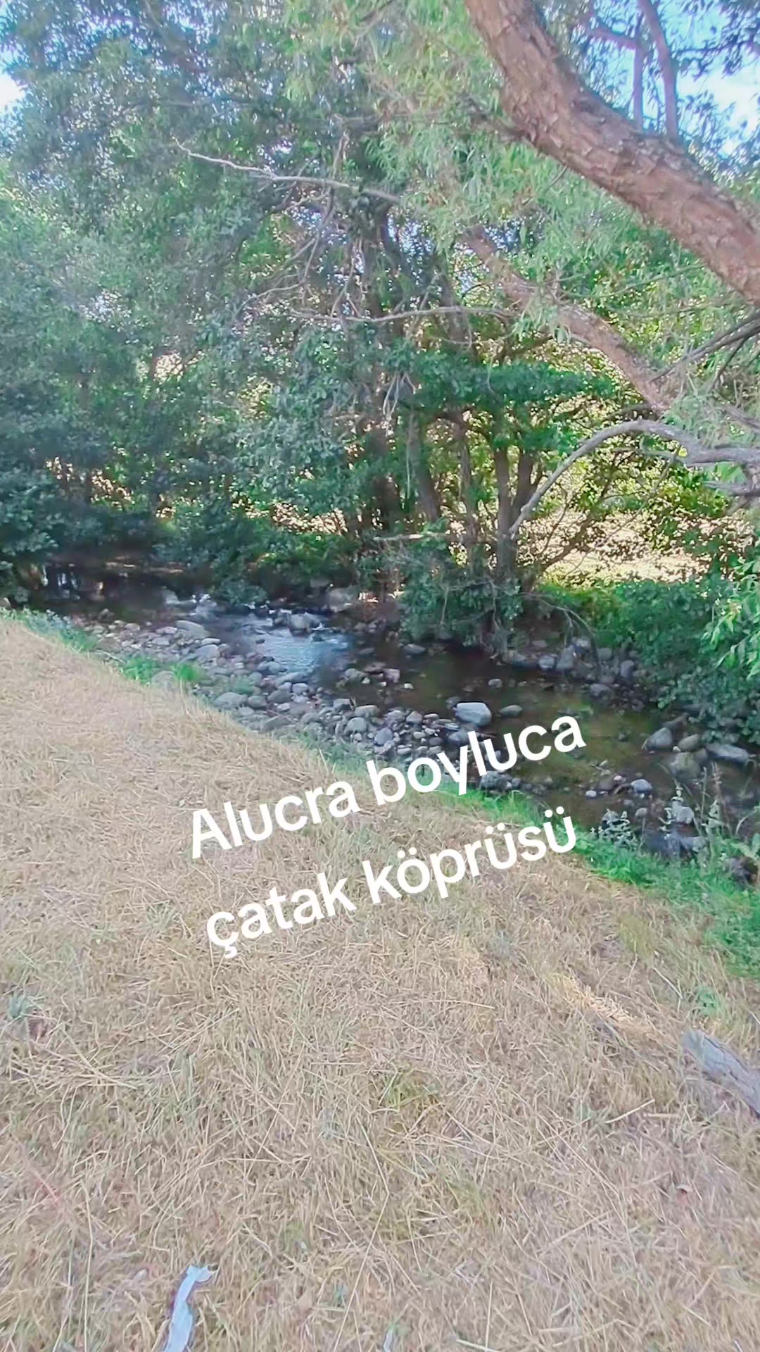 @Kirazli Nazli
