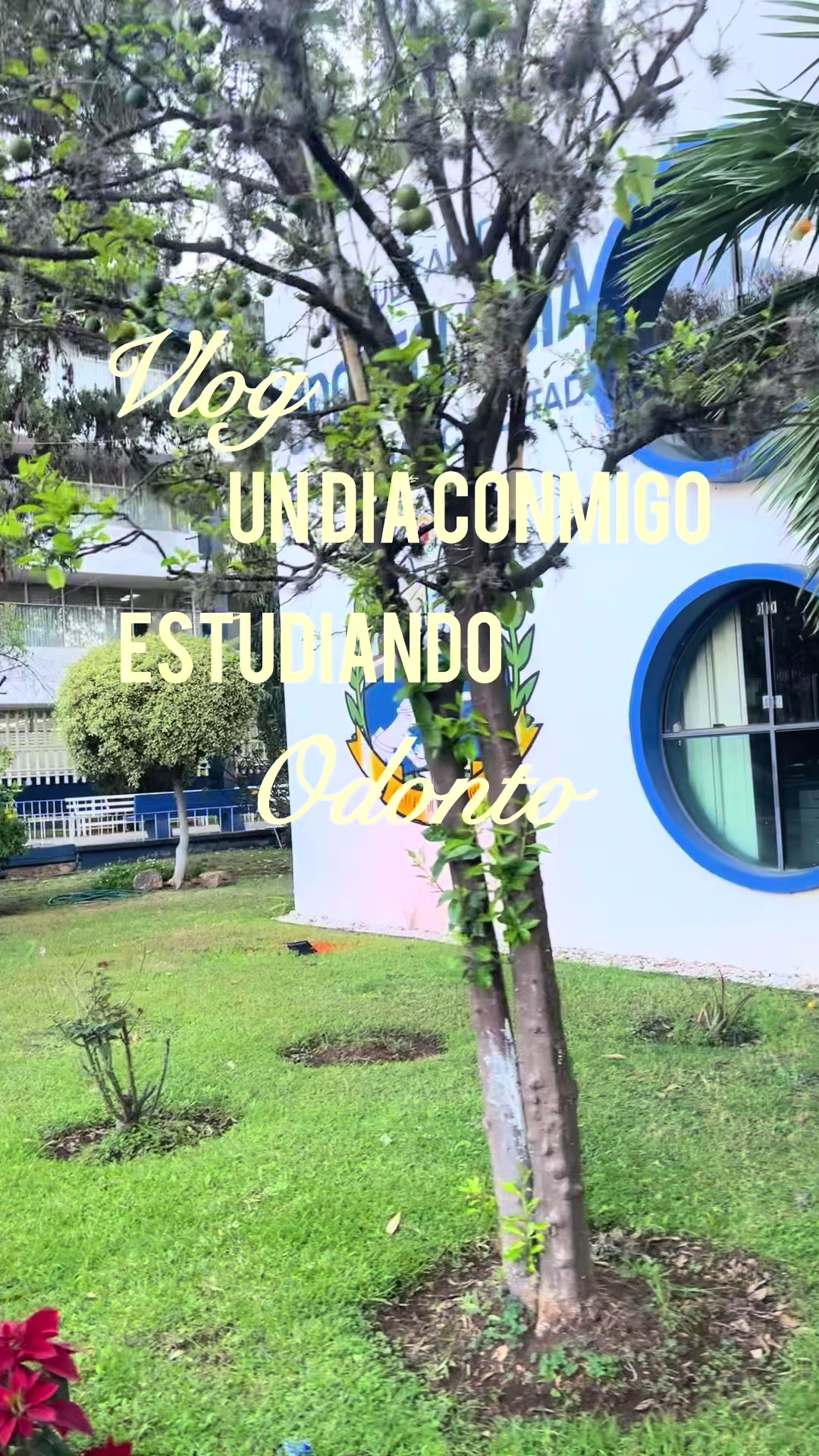 @𝐒𝐭𝐞𝐟 ⭐️