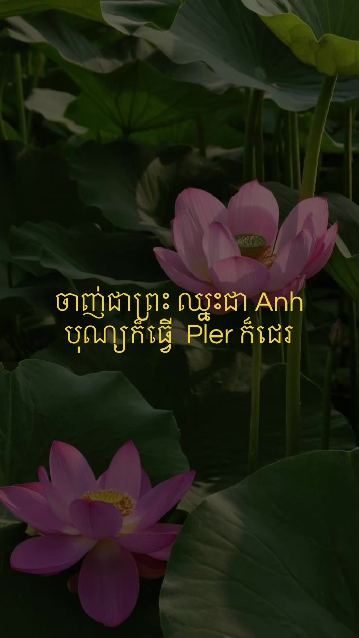 @ផុសអីក៏បាន ONE