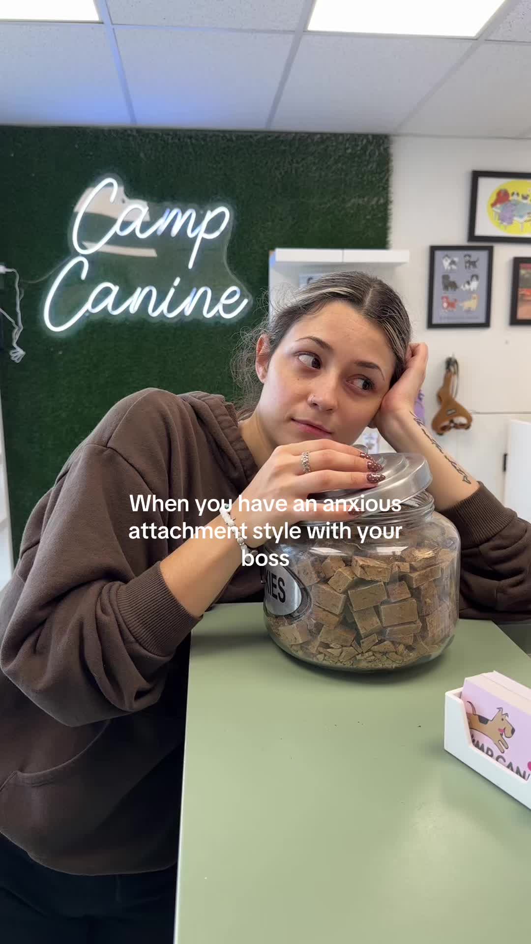 @Camp Canine Toronto