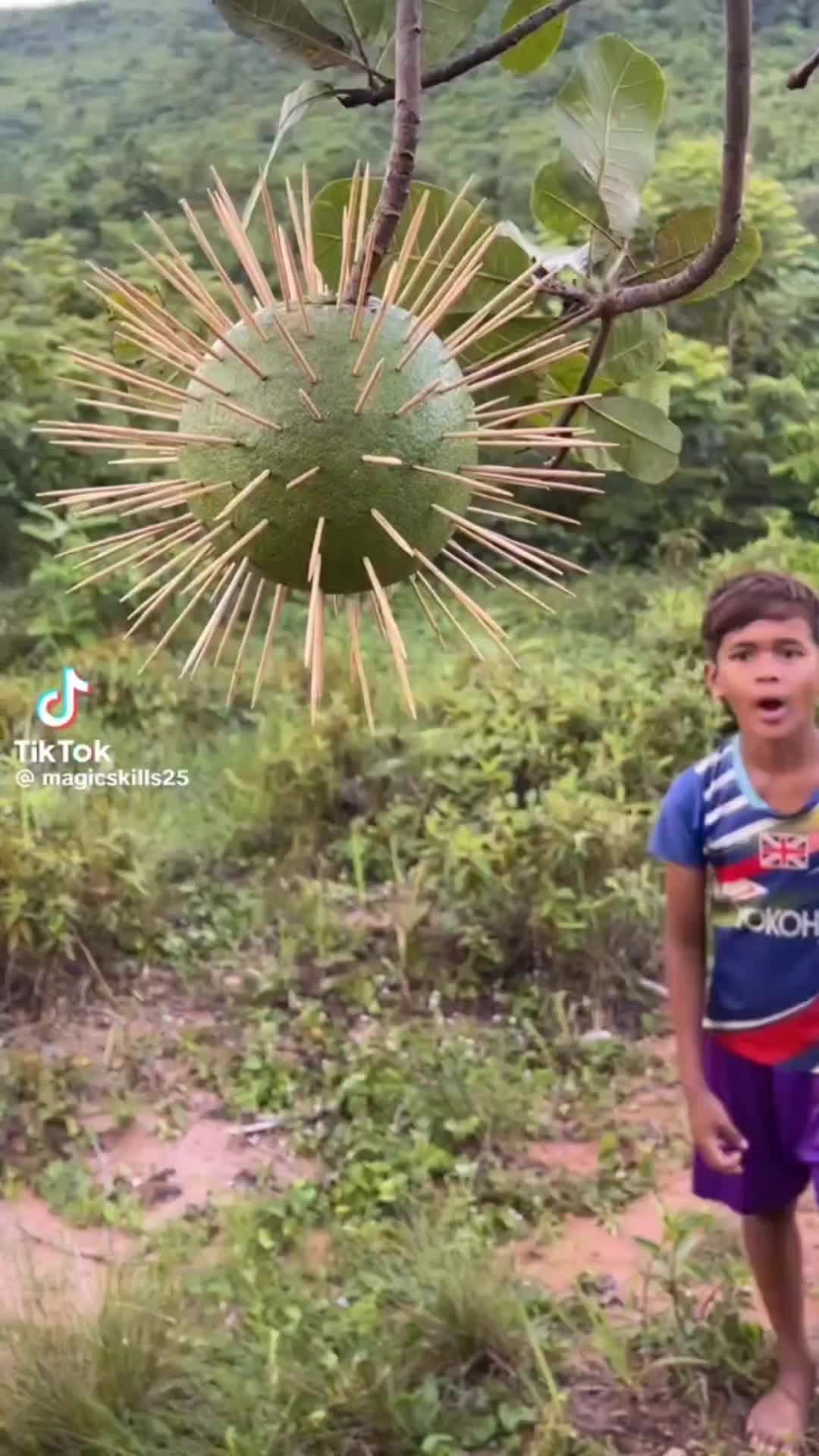 @mồm l&egrave;o c&aacute;i j