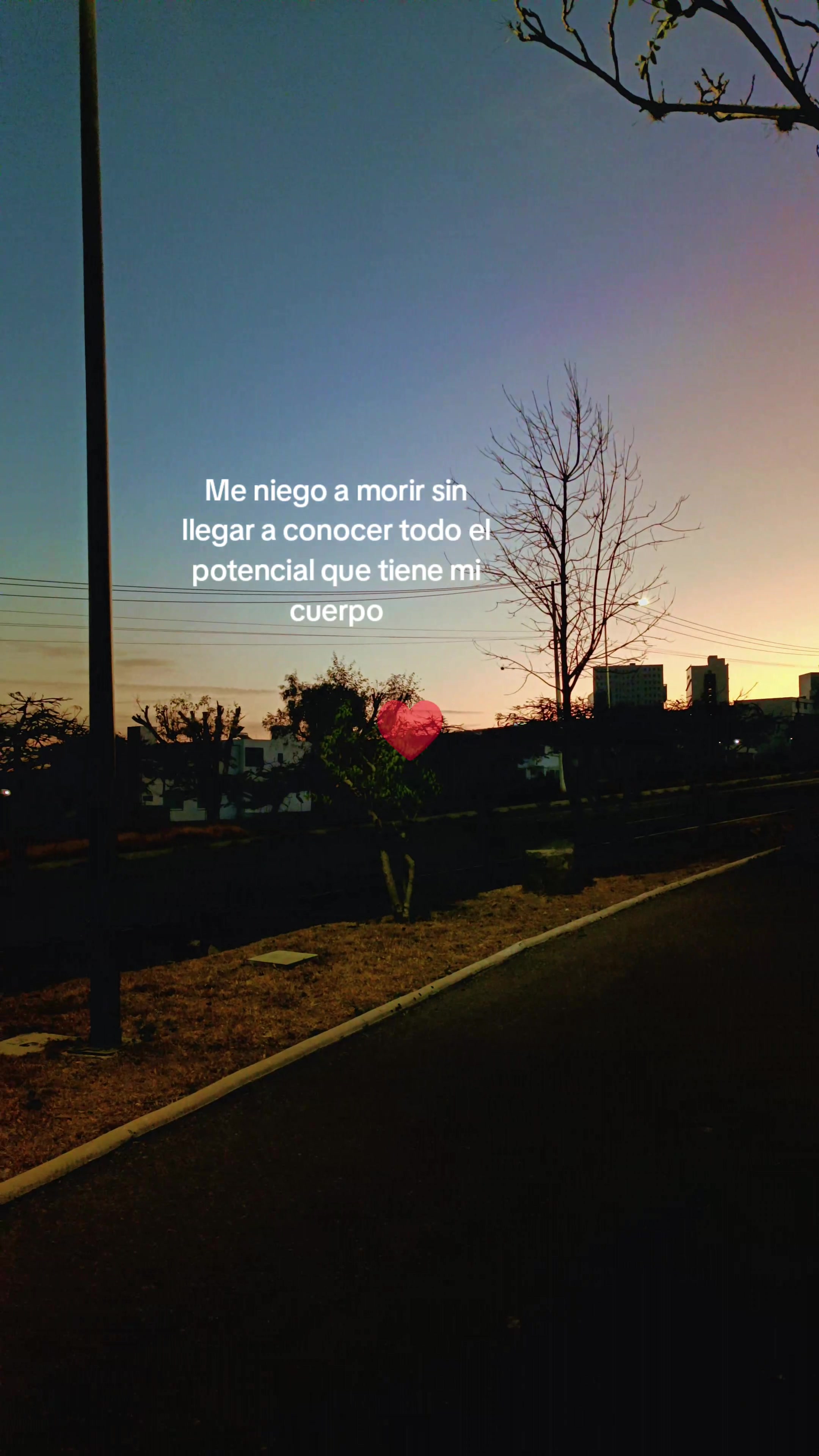 @Seli ✨