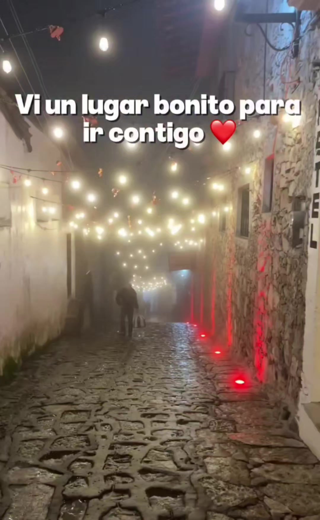 @👑🐢Poeta y Soñador.
