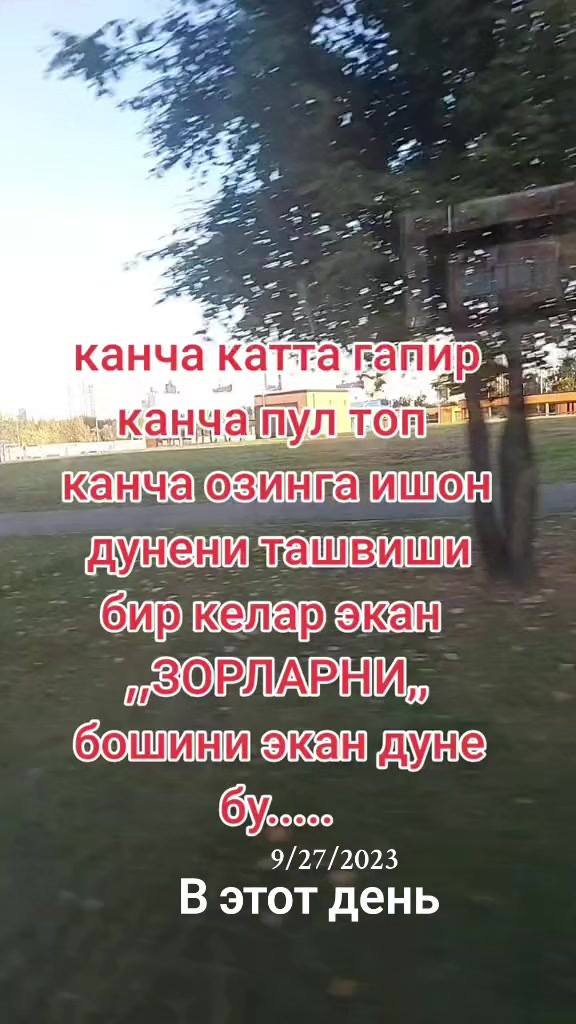 @shoira2281