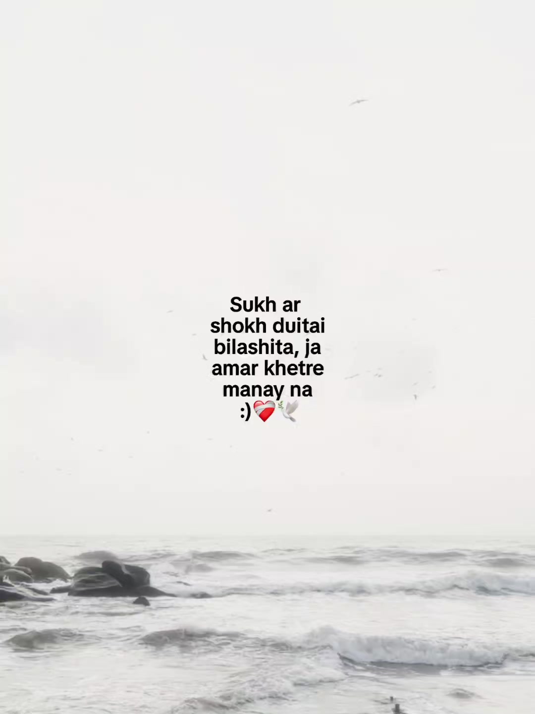 @Someone :)🤍🕊️✨