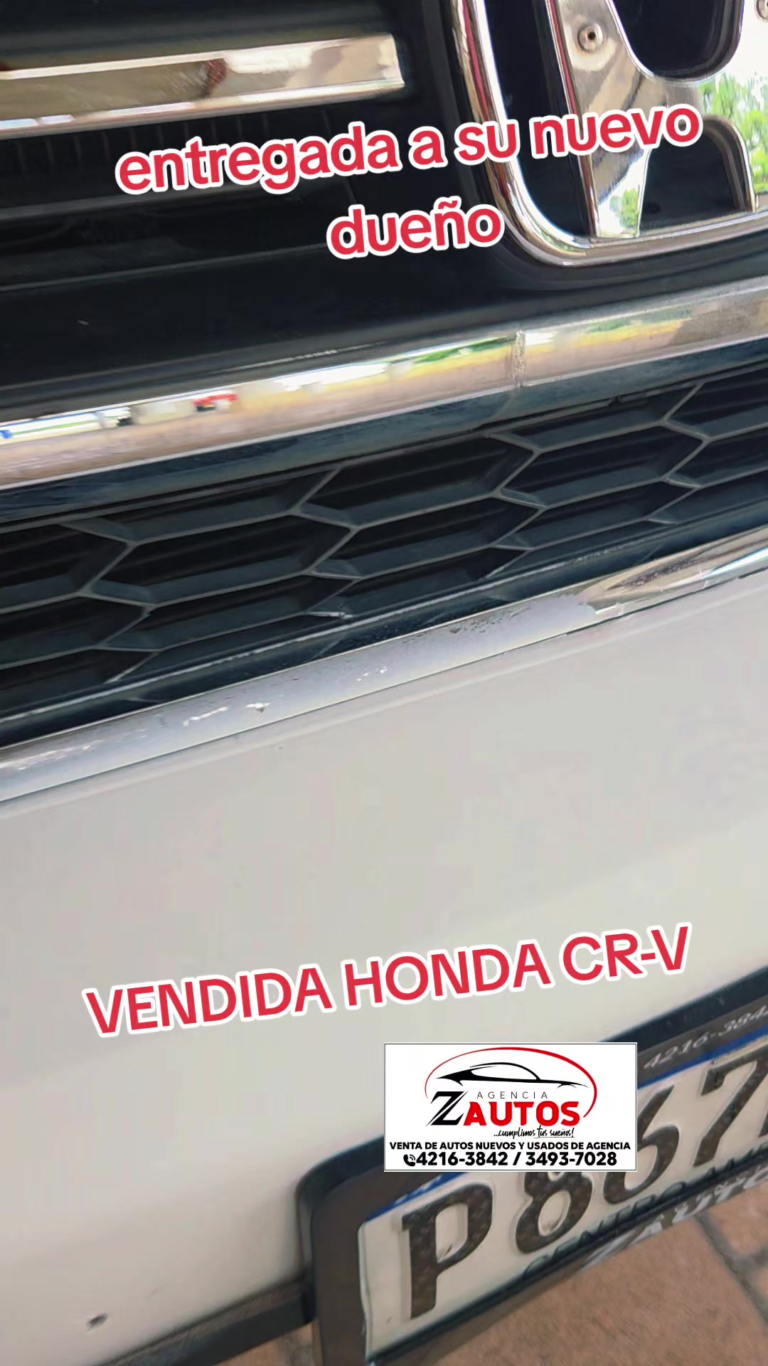 @Agencia Zautos