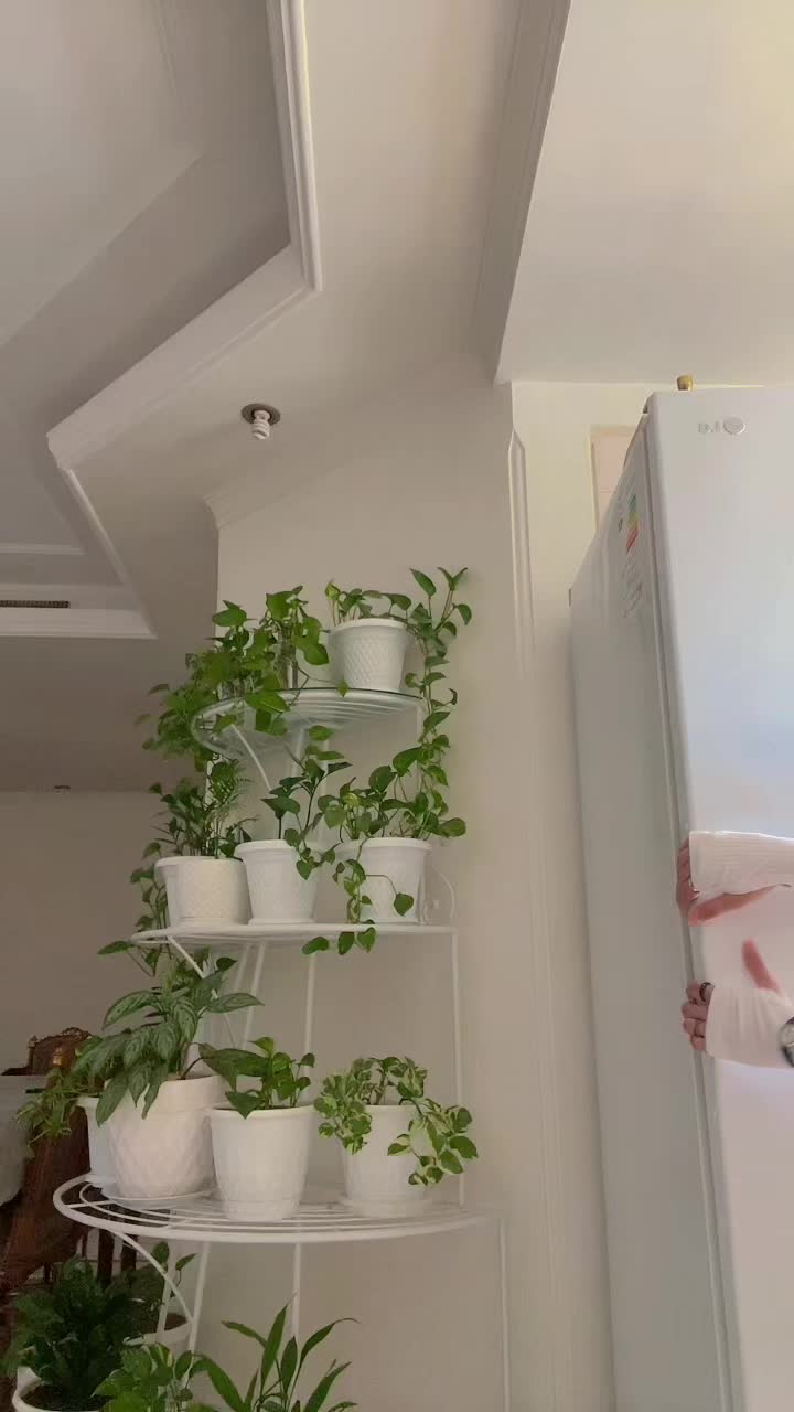 @L1anna.q