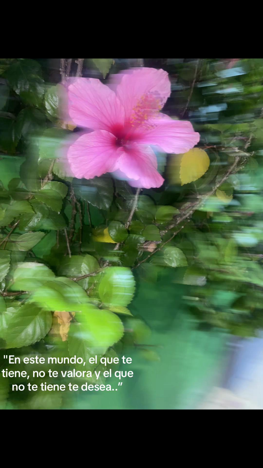 @tu_loca 🧸
