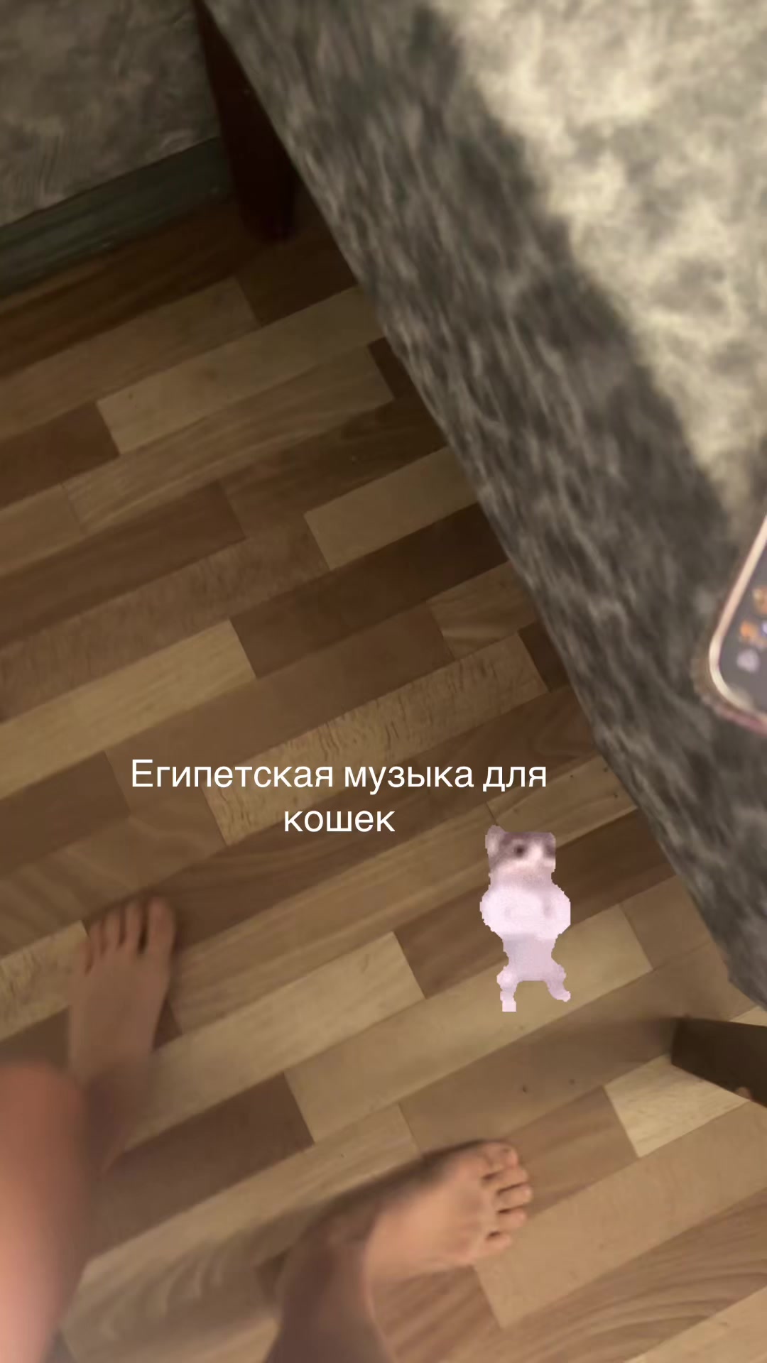 @ki1tyqw