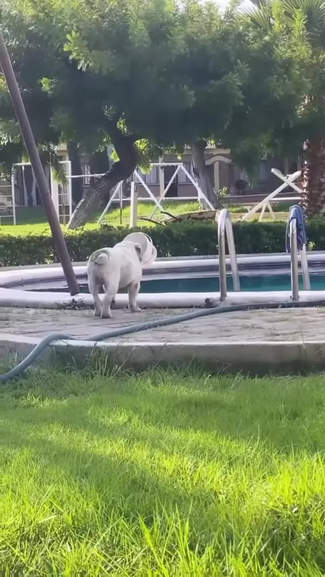 @cuteanimals472