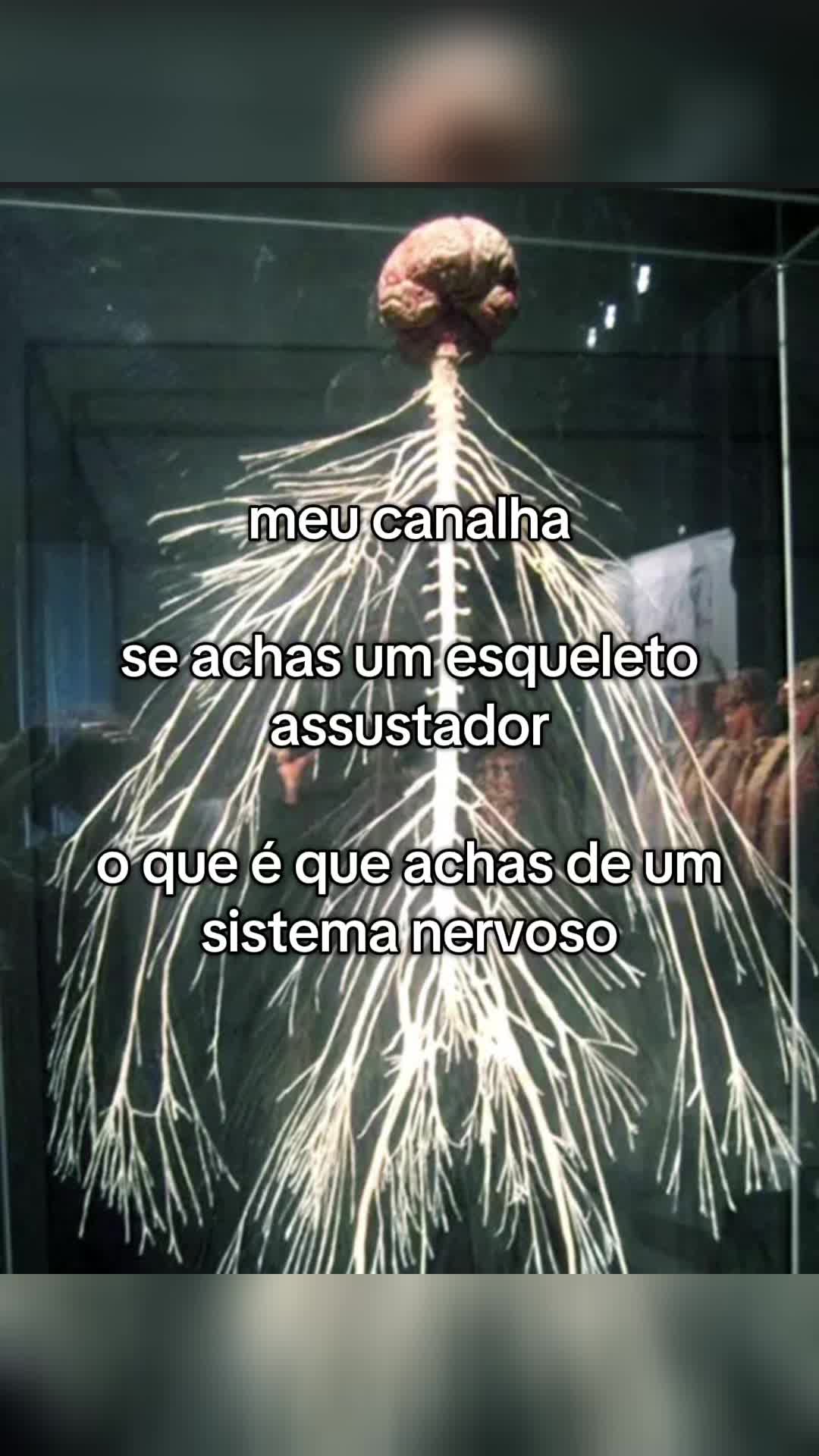 @Fernando Ferreira