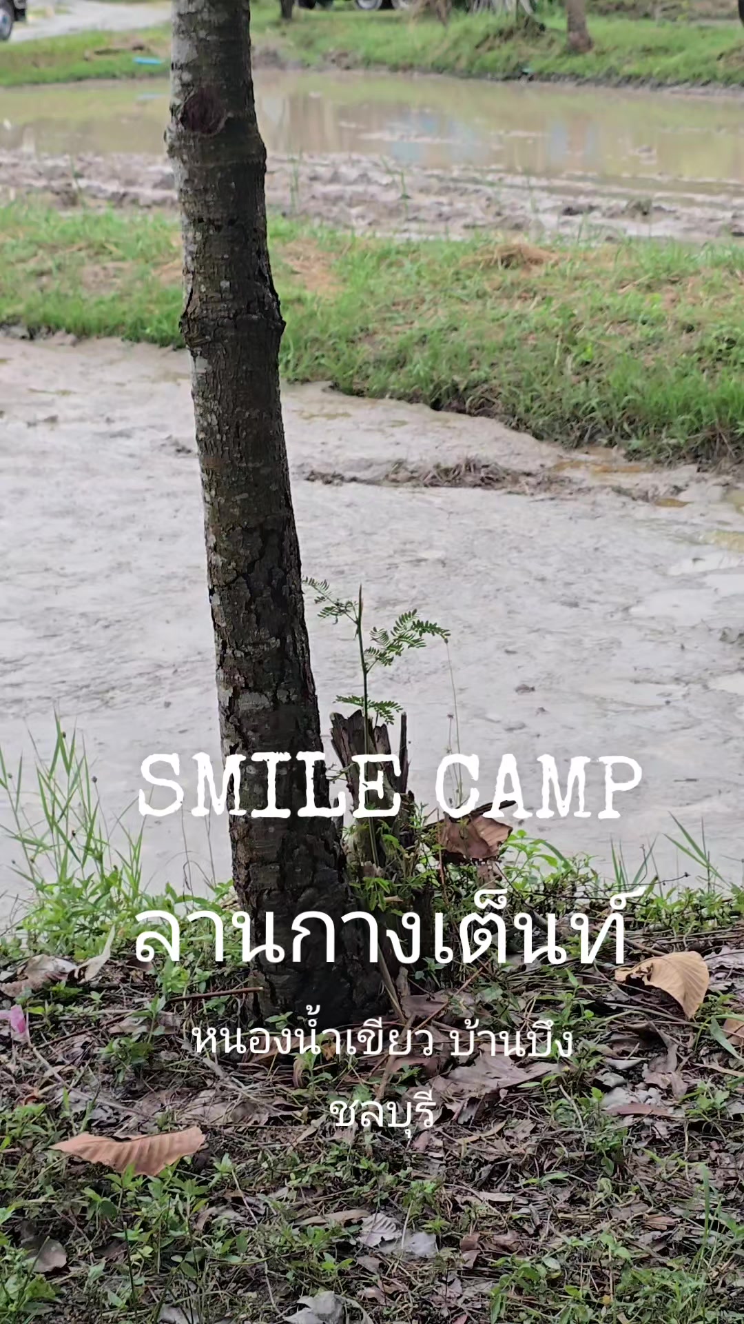 @SMILE CAMP ลานกางเต็นท์