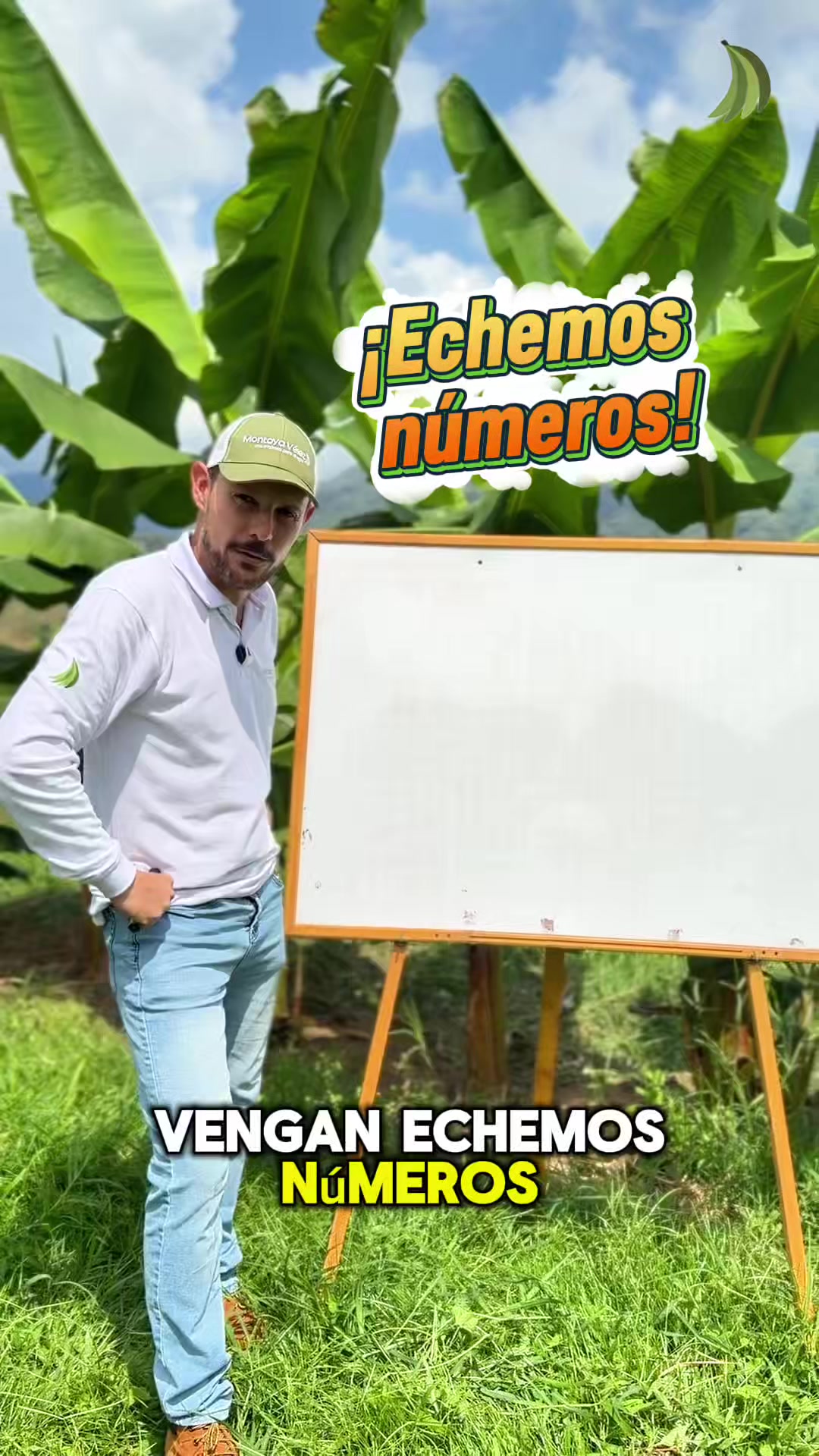 @Montoya Vélez S.A.S