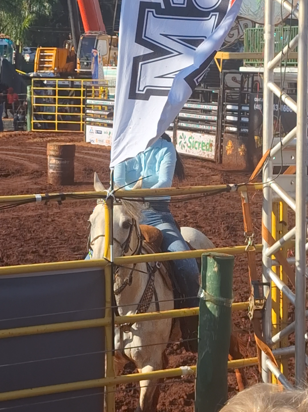 @rodeo