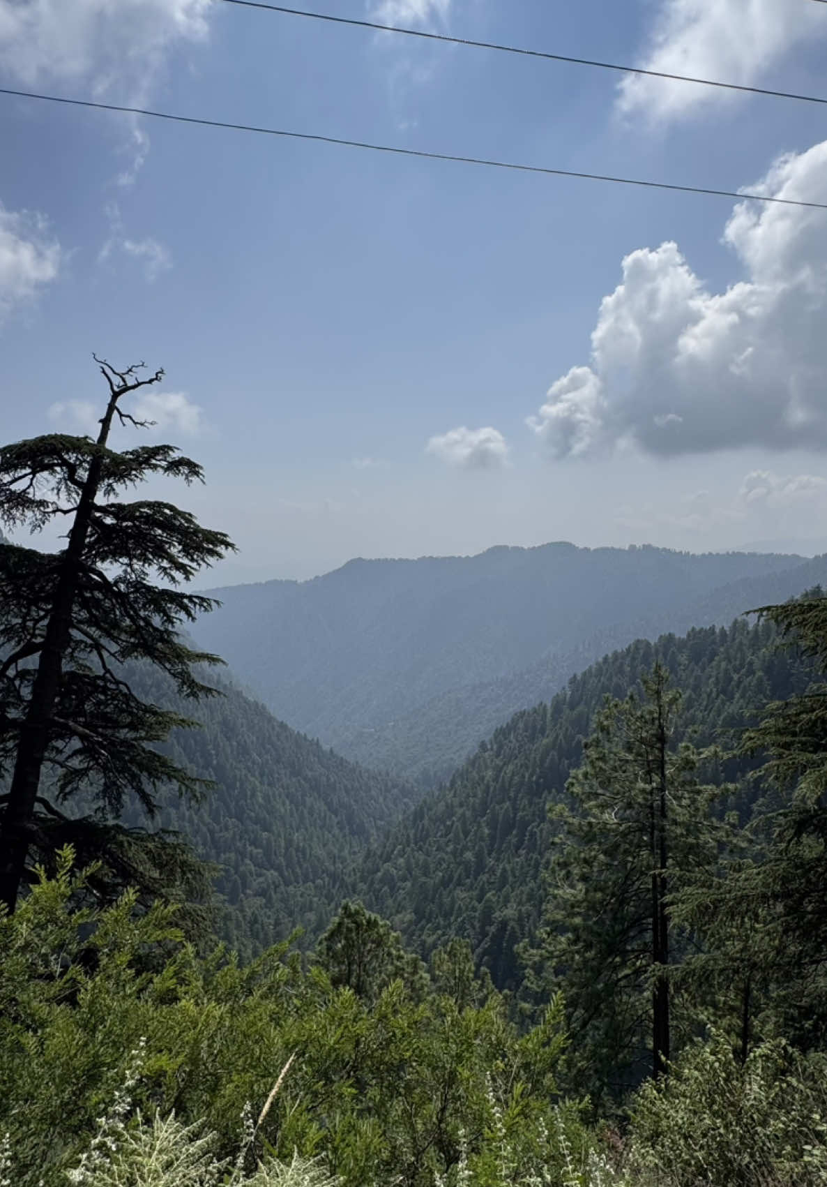 @Mahi Khan