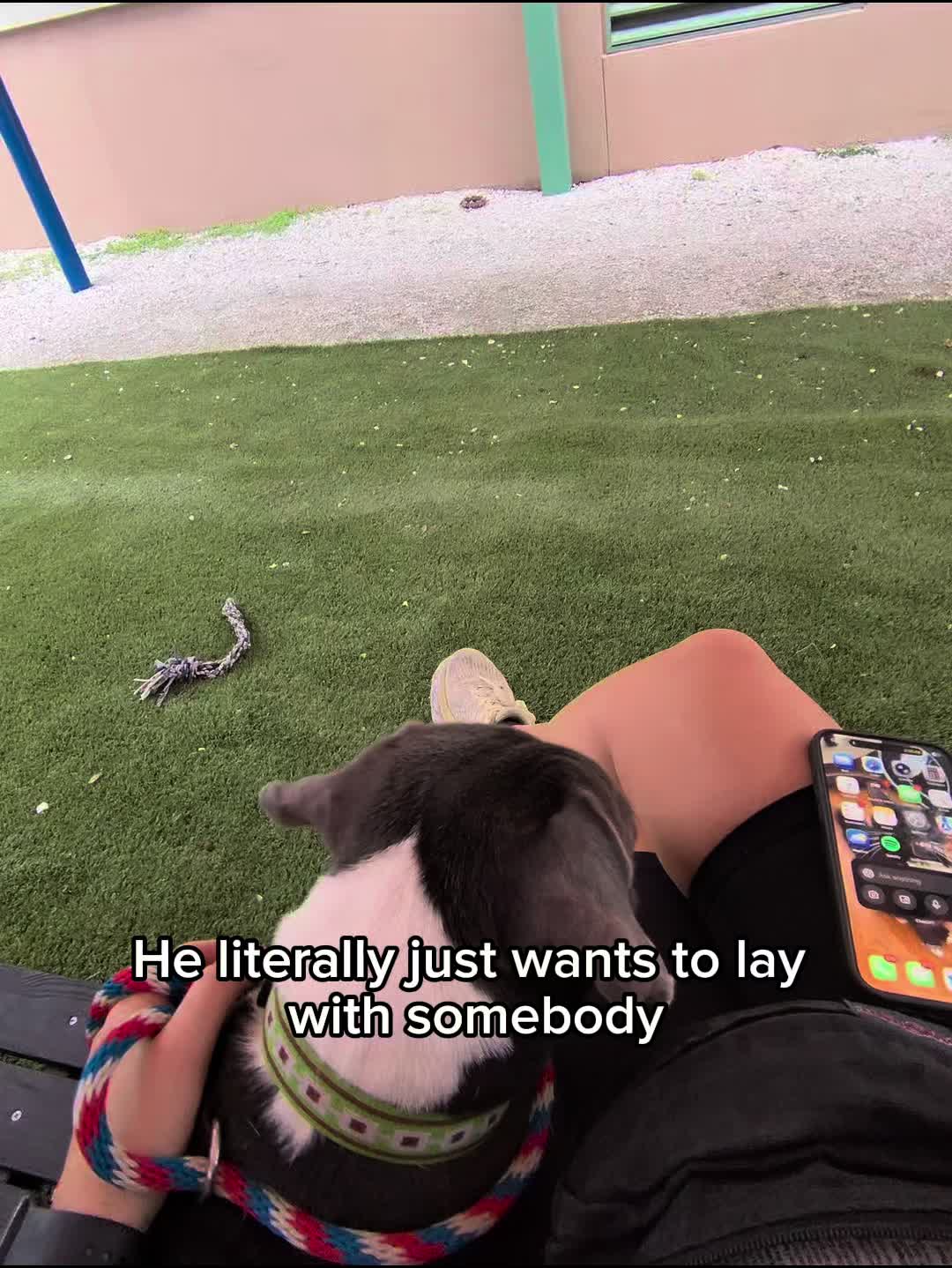 @straysofkays