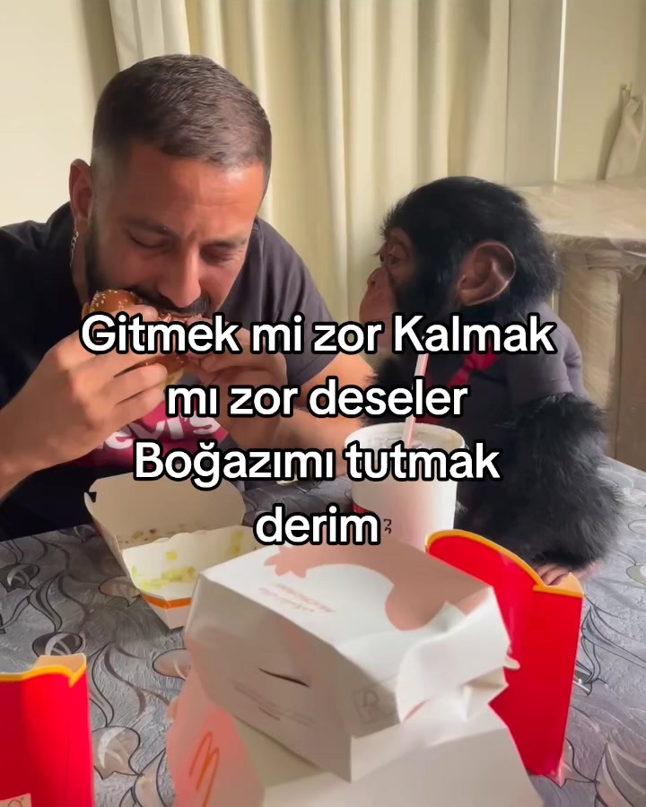 @rolland