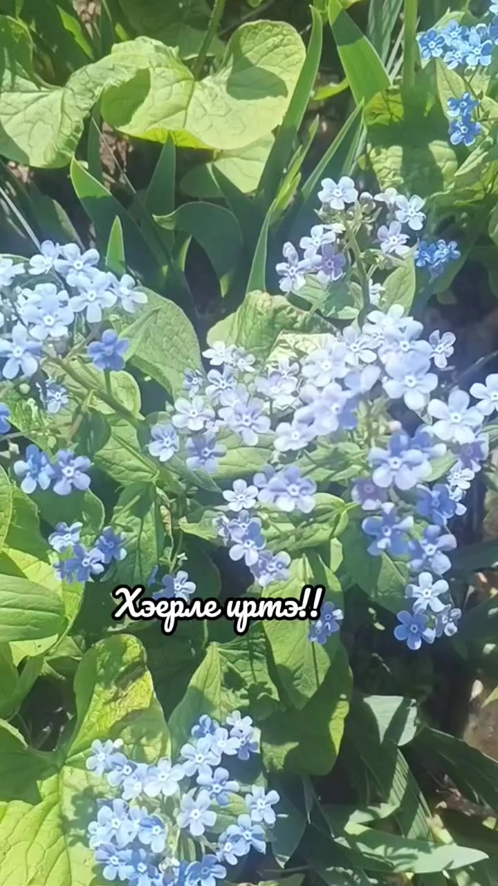 @Asiya2
