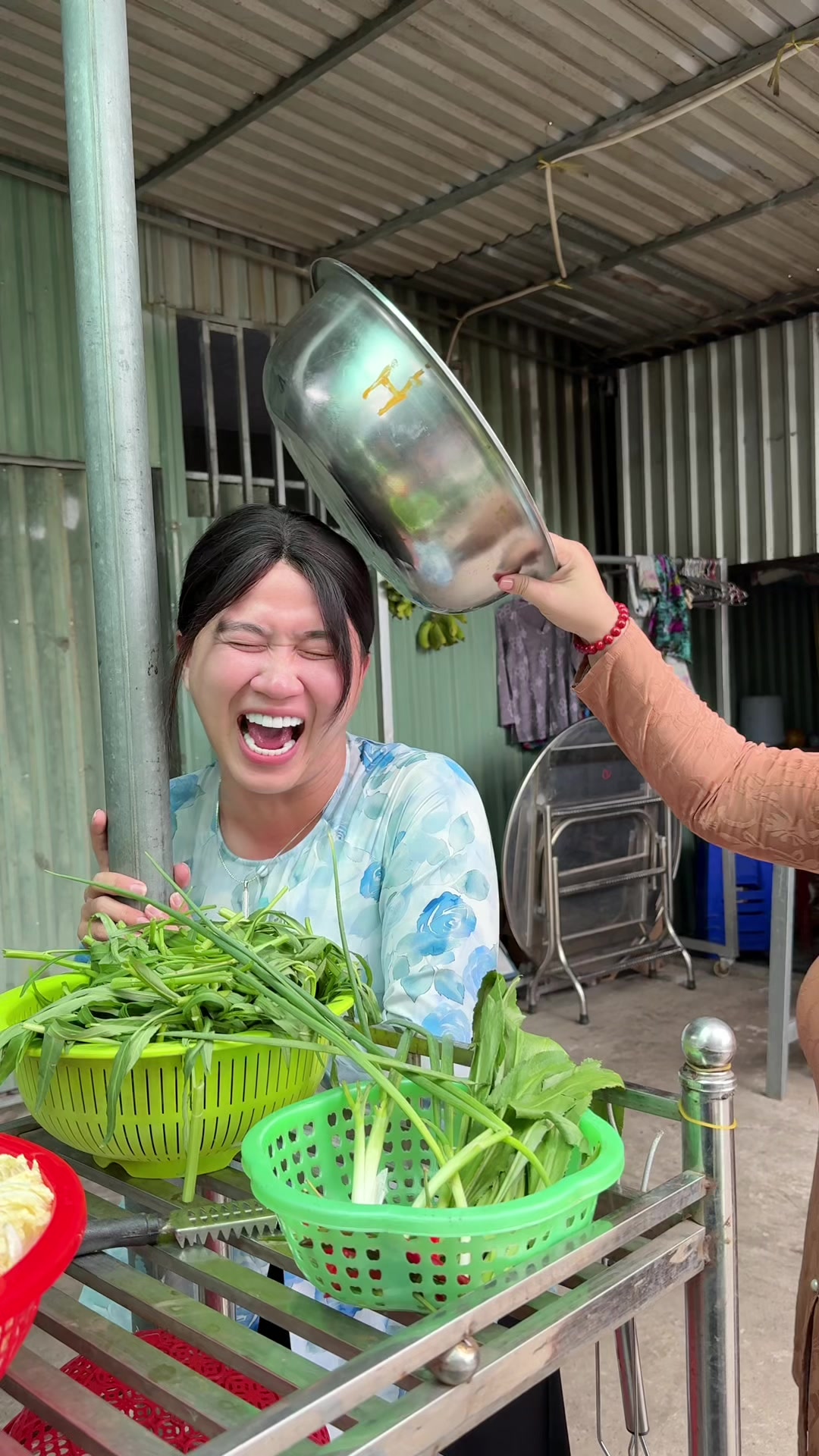 @Ngọc Tình